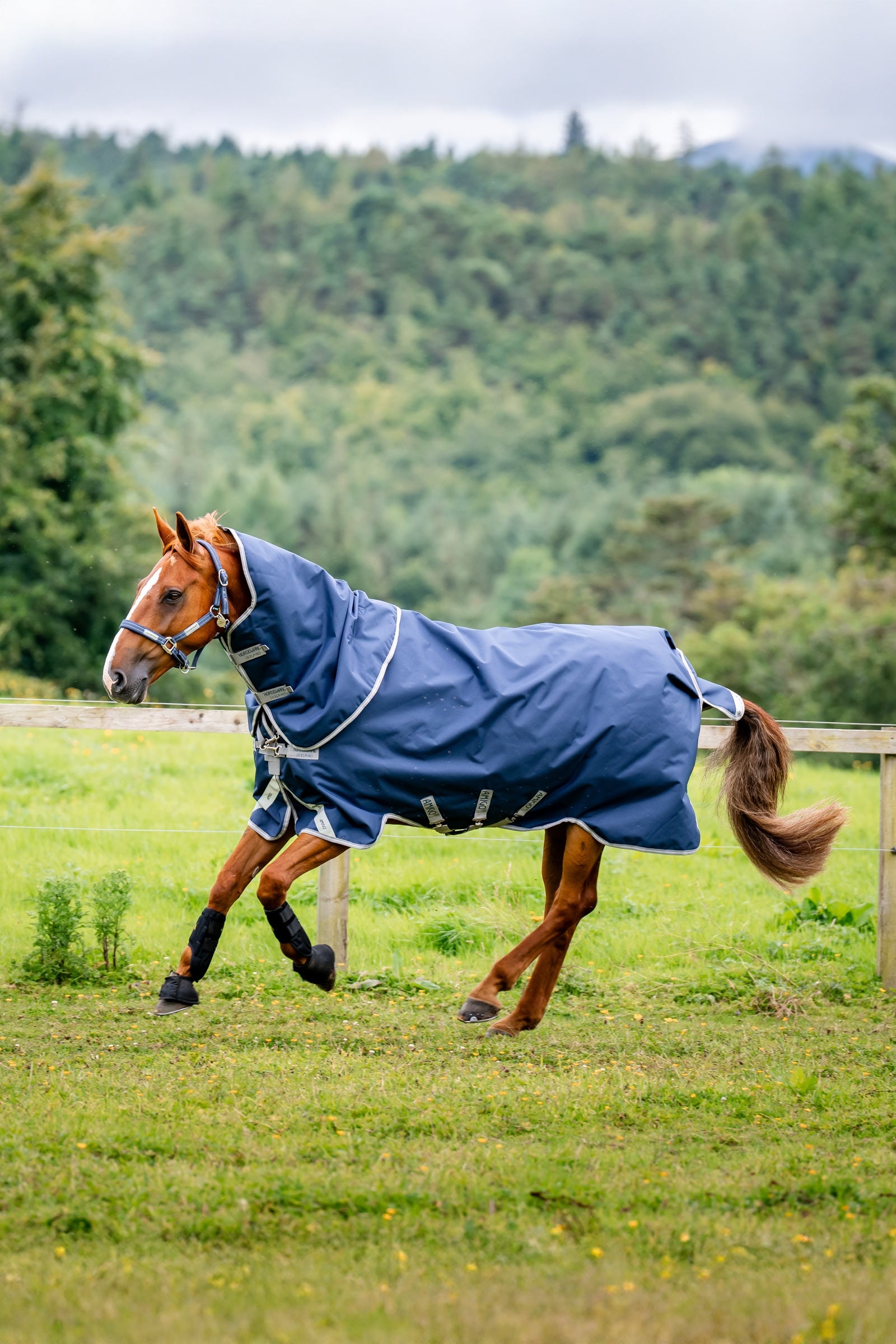 Horseware Amigo 1200D Plus Turnout Rug, 50 g Horse Rugs