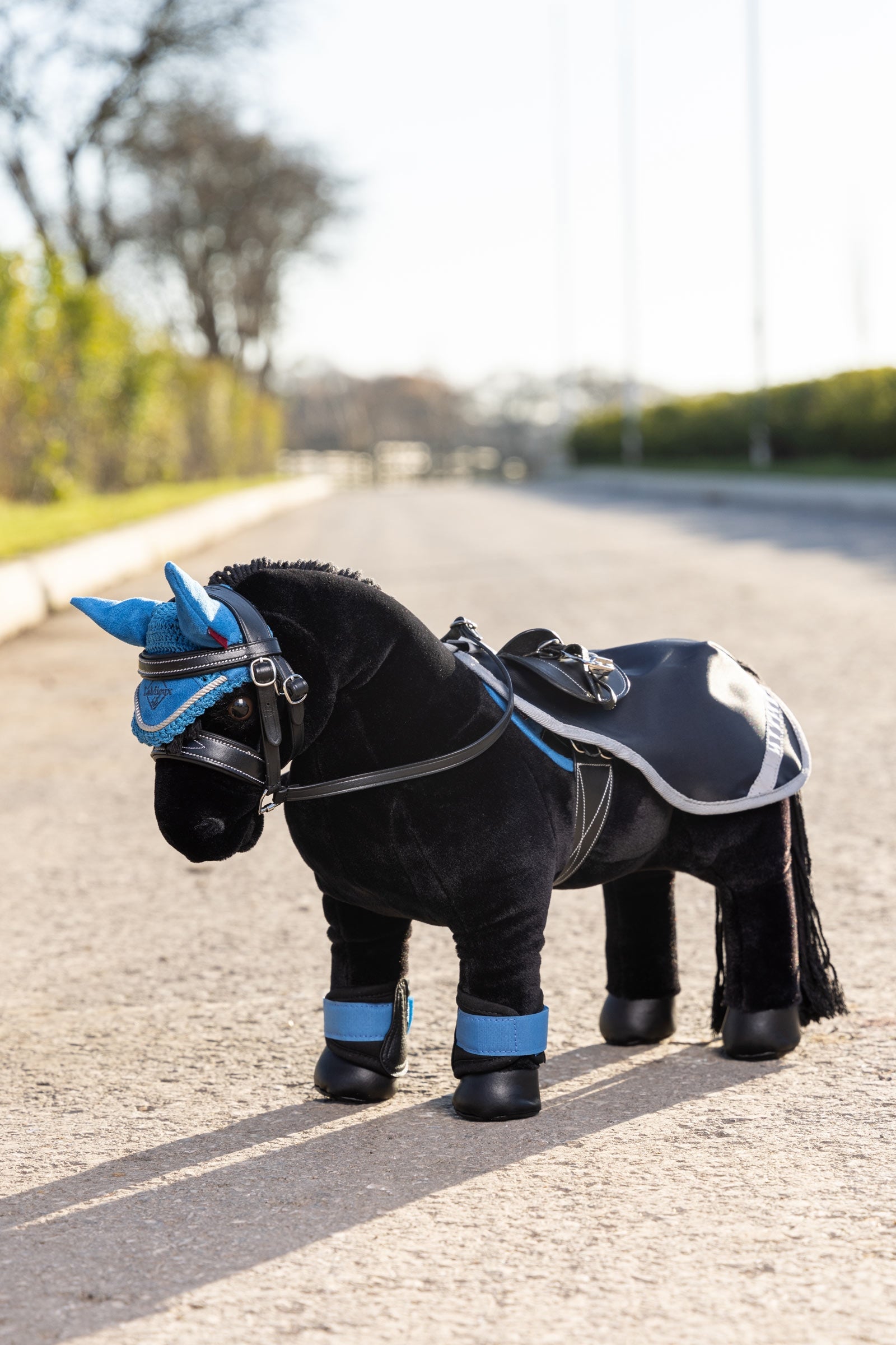 LeMieux Toy Pony Exercise Sheet Gifts & Toys