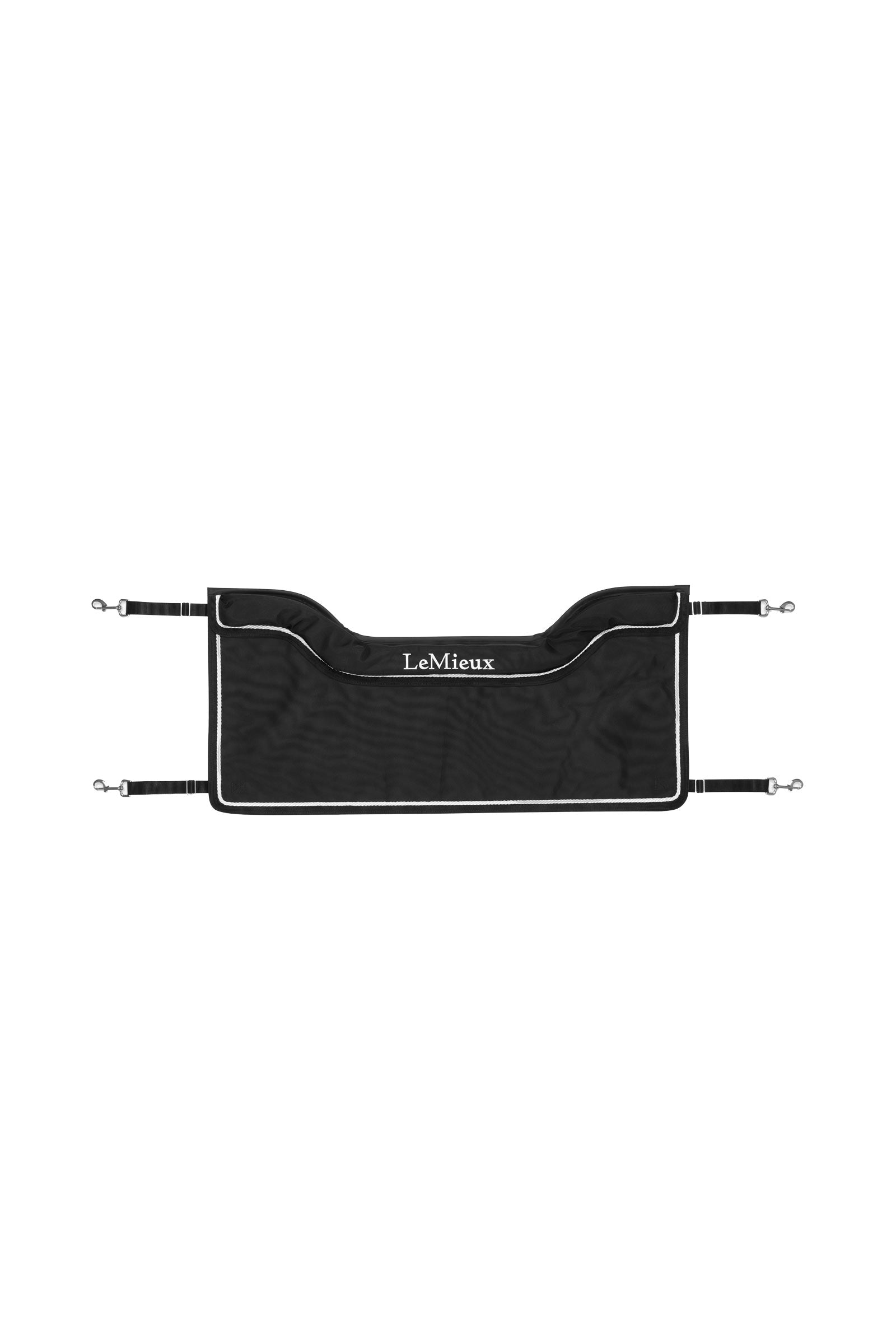 Alt Tag fallback text for IMAGE