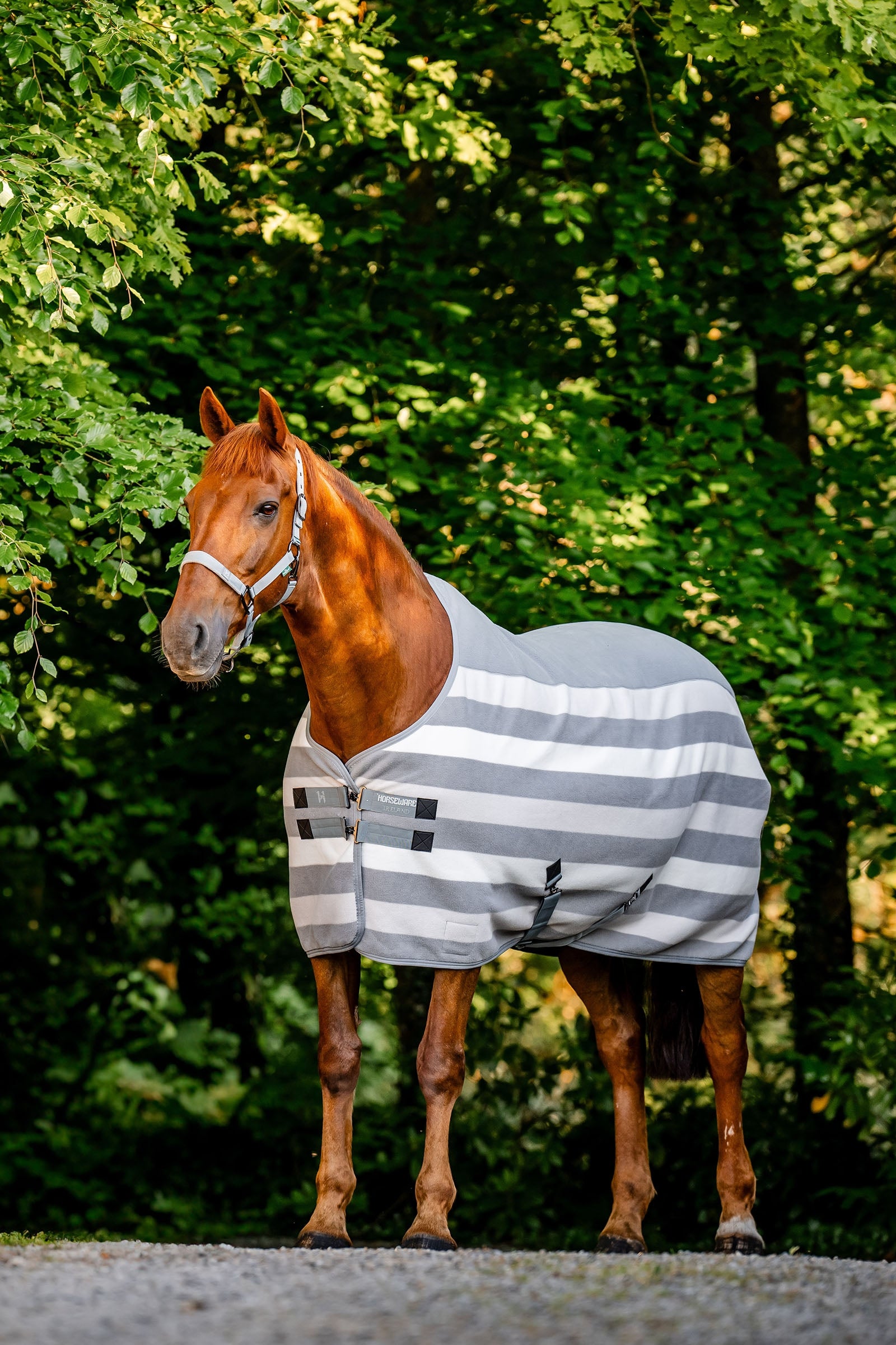 Horseware Newmarket Fleece Cooler Horse Rugs