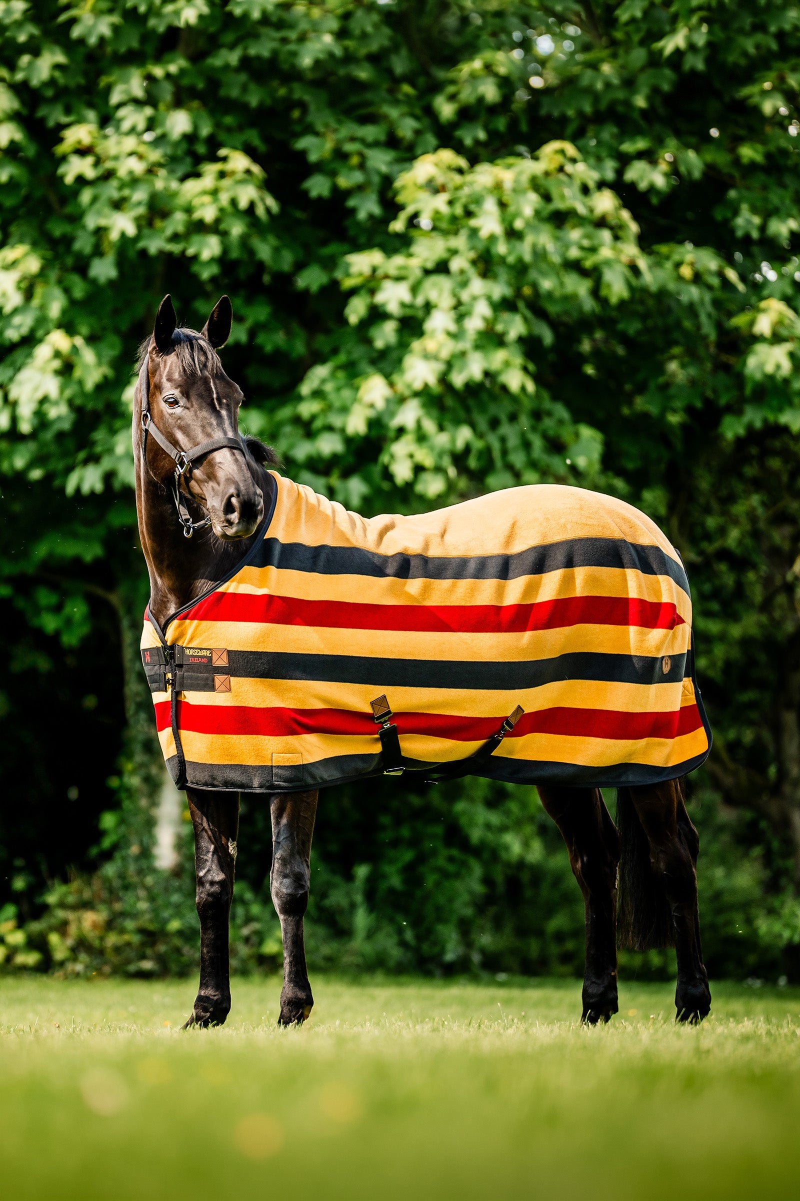 Horseware Newmarket Fleece Cooler Horse Rugs