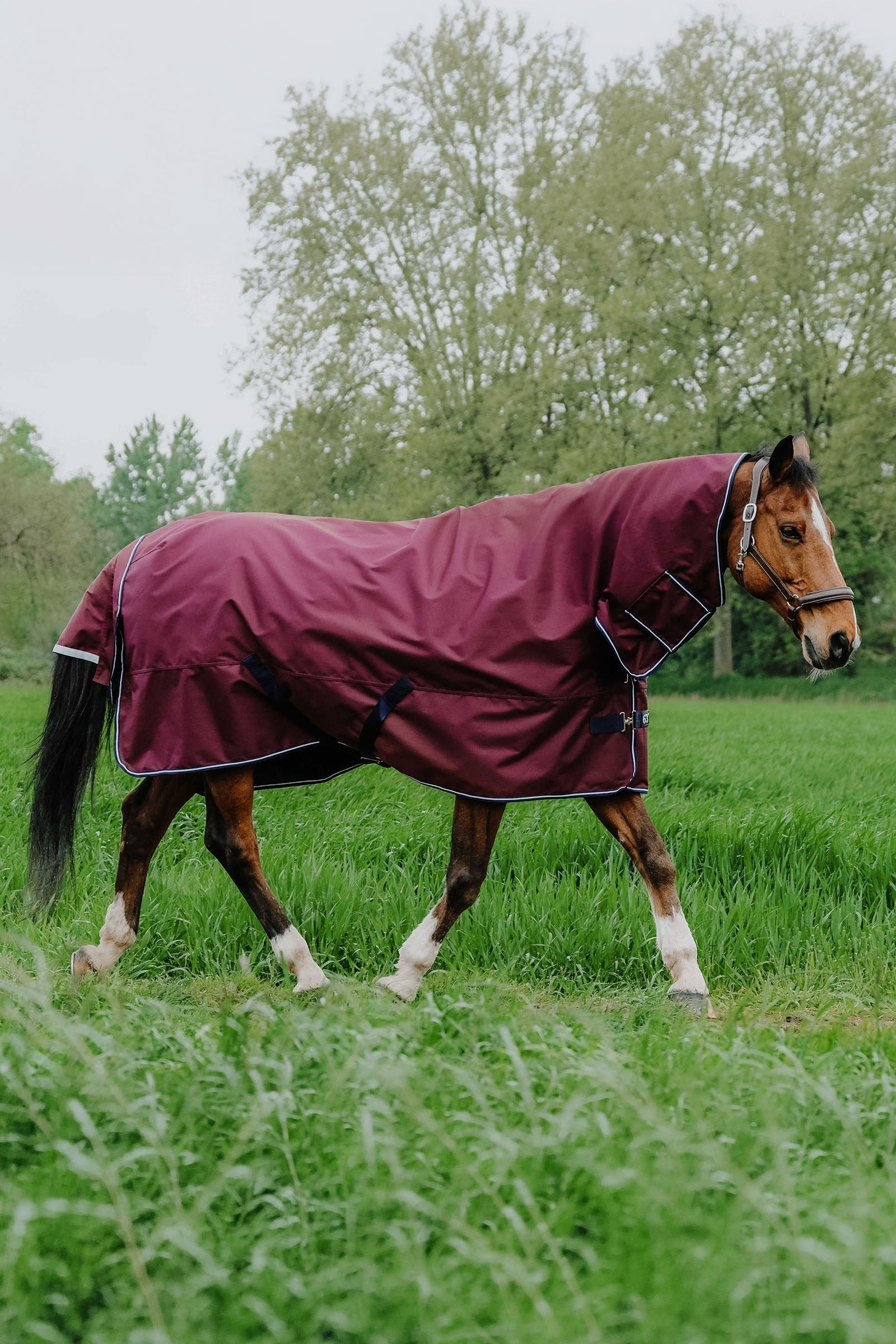 EQUITHÈME TYREX 1200D Combo Rug, 350 g Horse Rugs