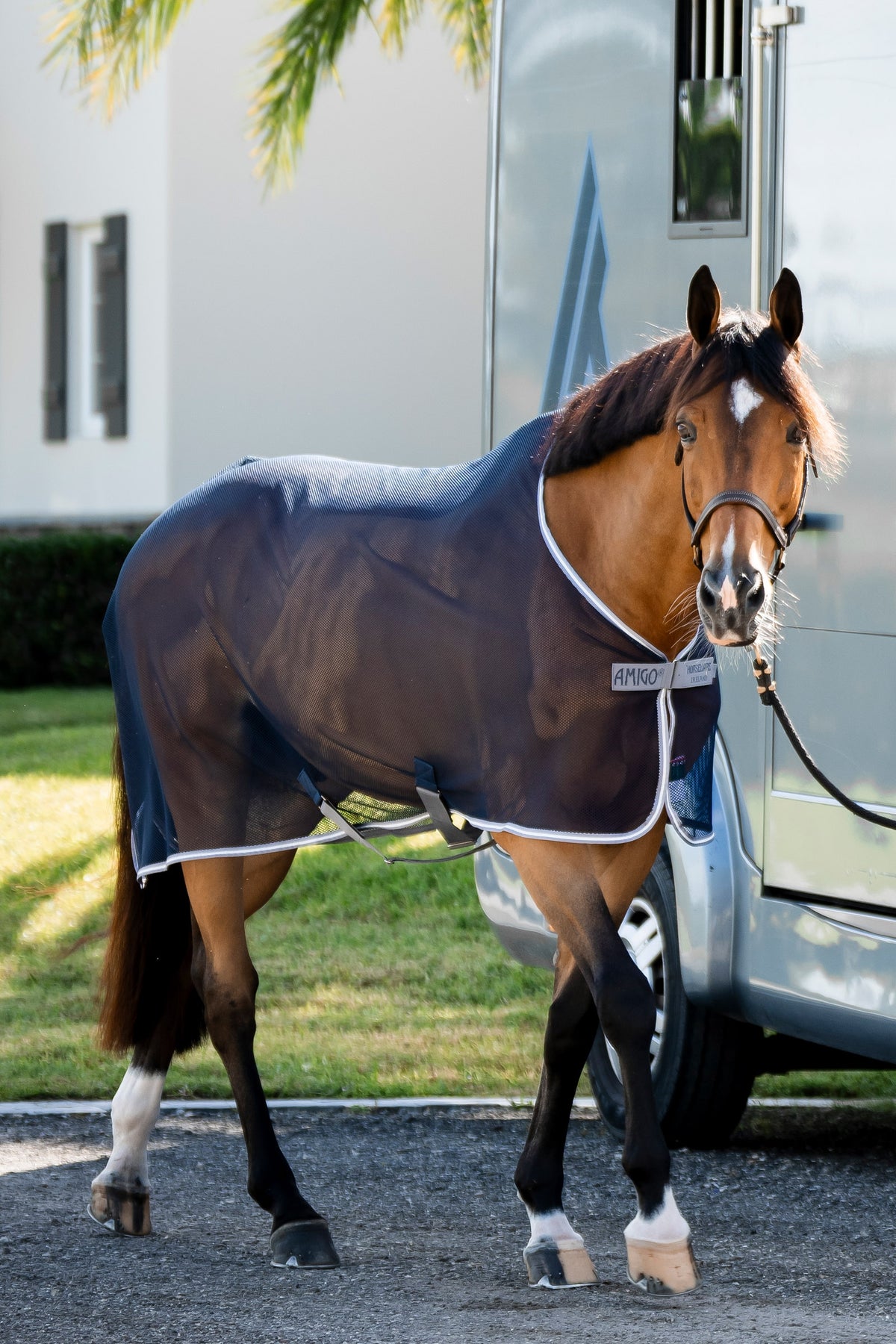 Horseware Amigo Net Cooler Horse Rugs