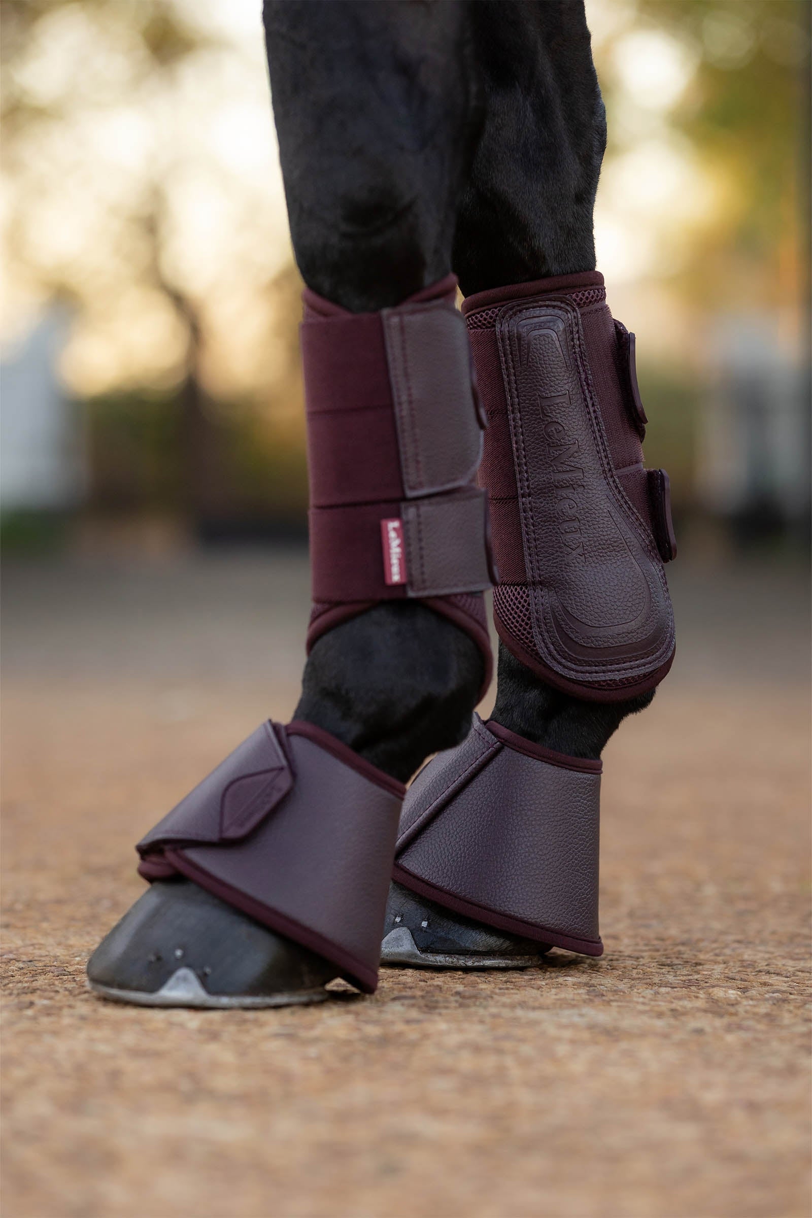 LeMieux Arika Over Reach Boots Leg & Hoof Protection