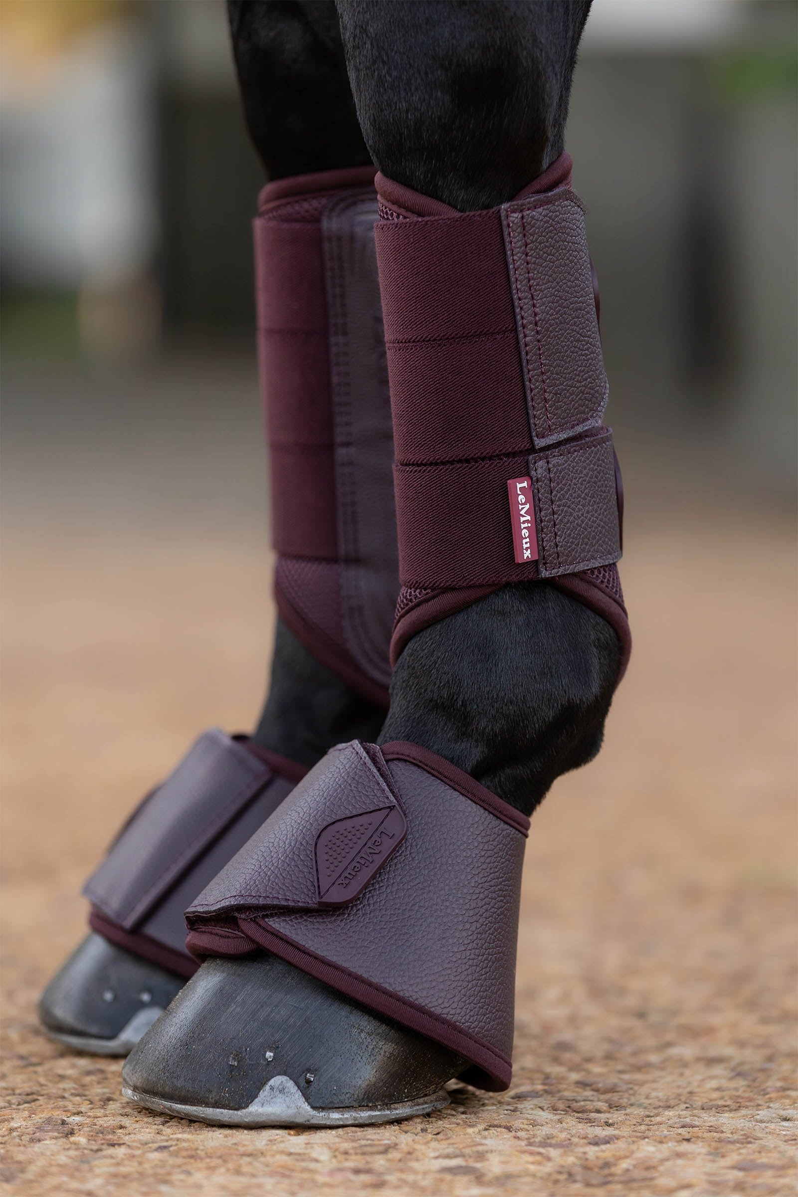 LeMieux Arika Over Reach Boots Leg & Hoof Protection