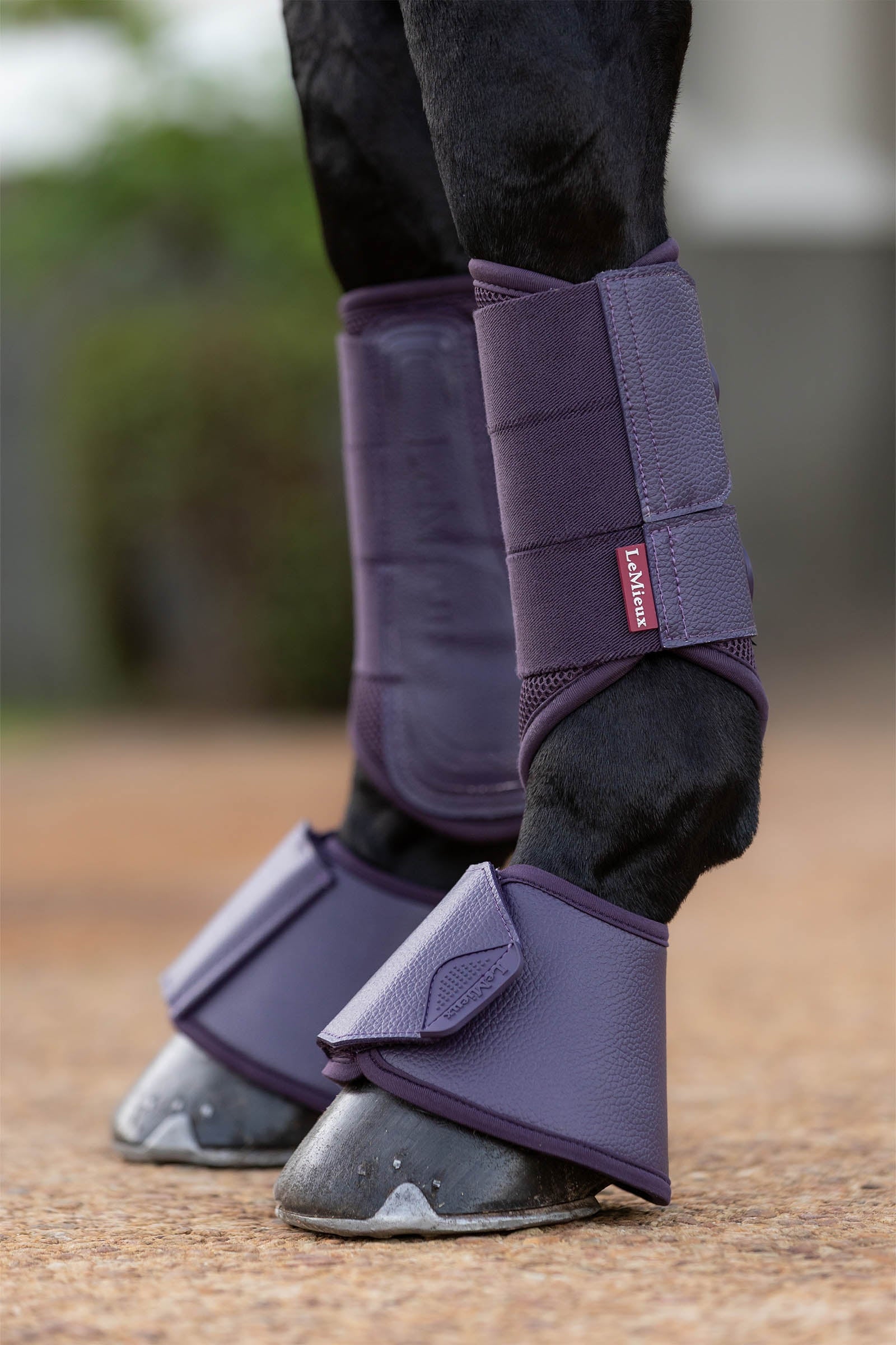 LeMieux Arika Over Reach Boots Leg & Hoof Protection