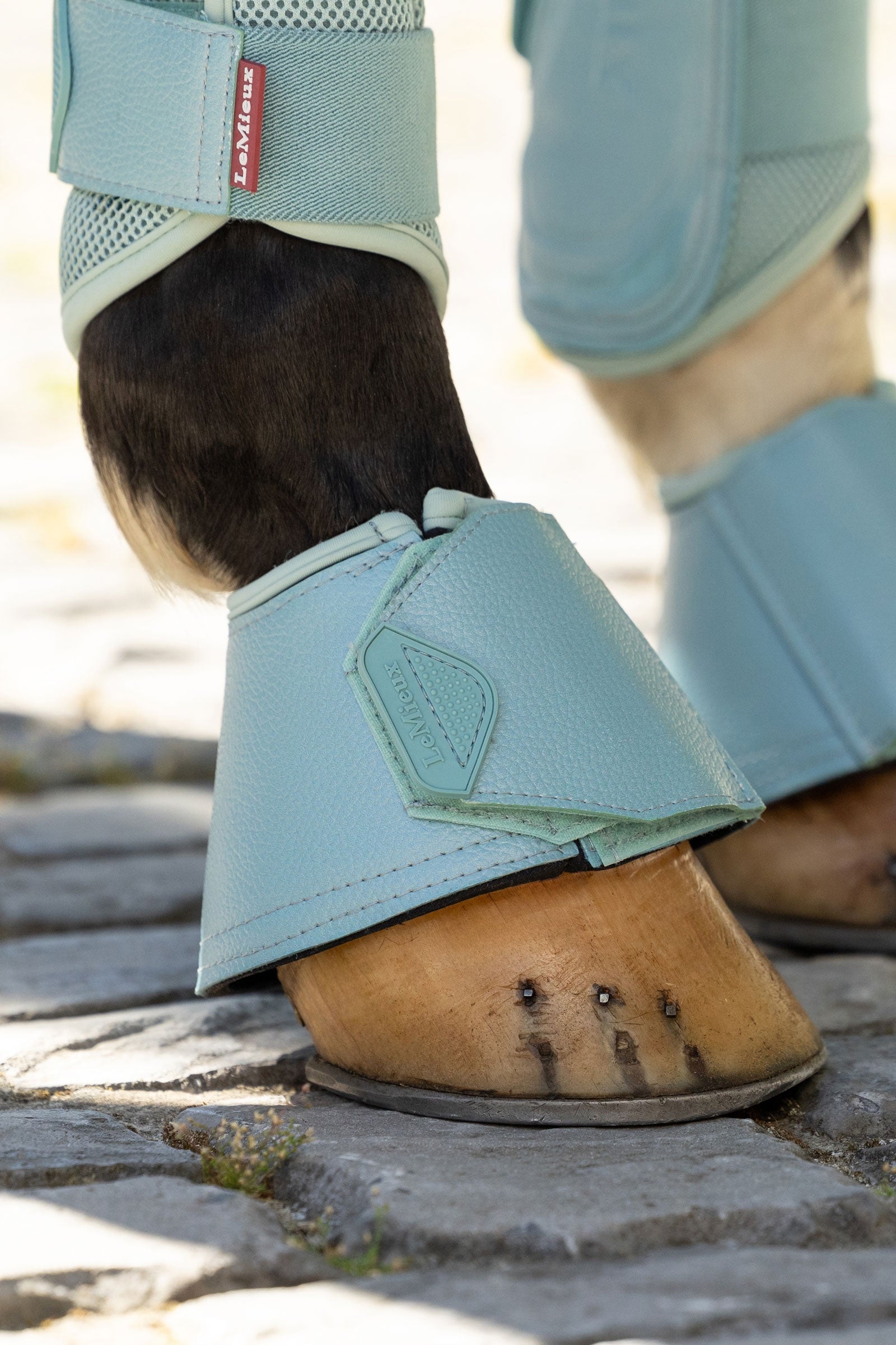 LeMieux Arika Over Reach Boots Leg & Hoof Protection