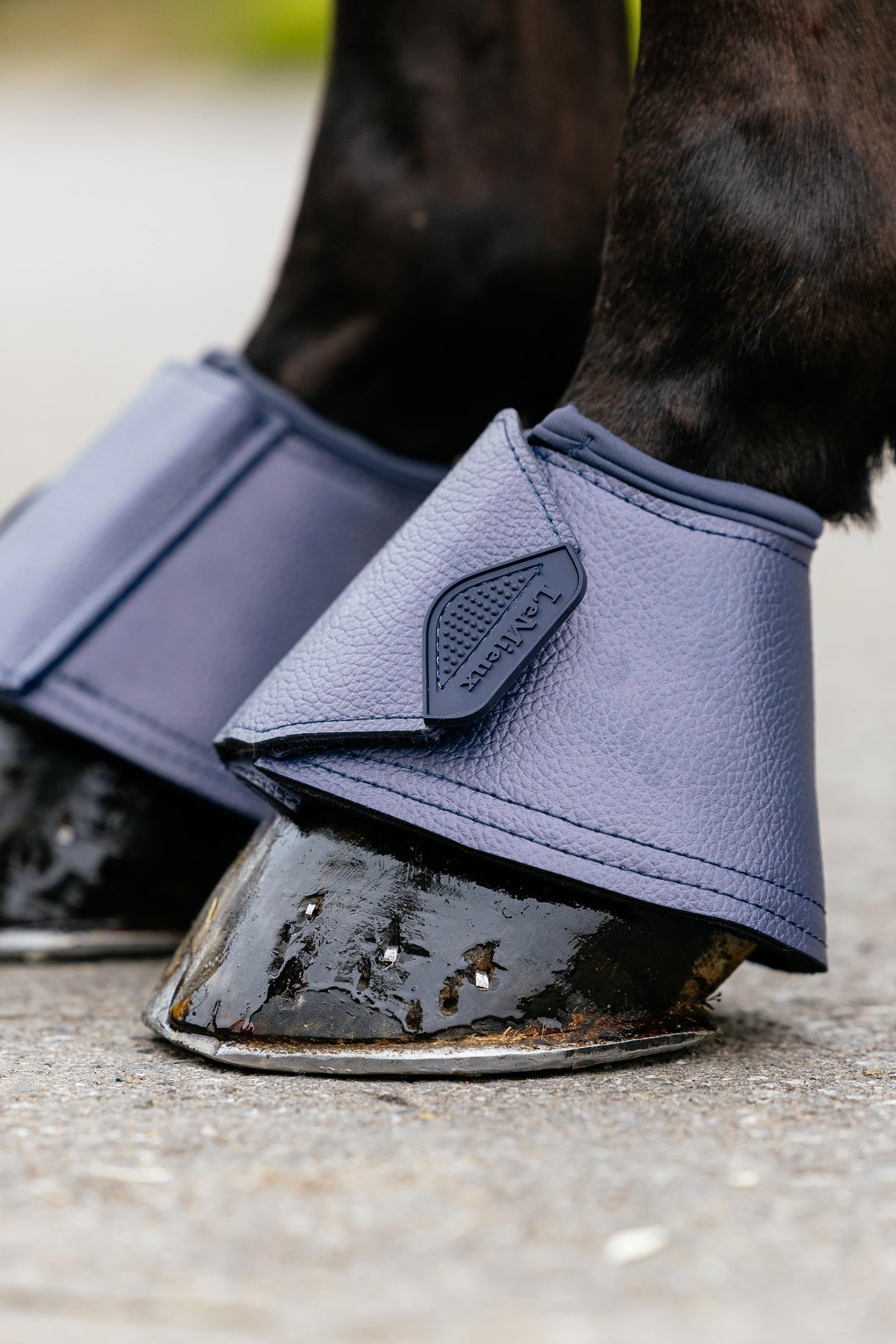 LeMieux Arika Over Reach Boots Leg & Hoof Protection