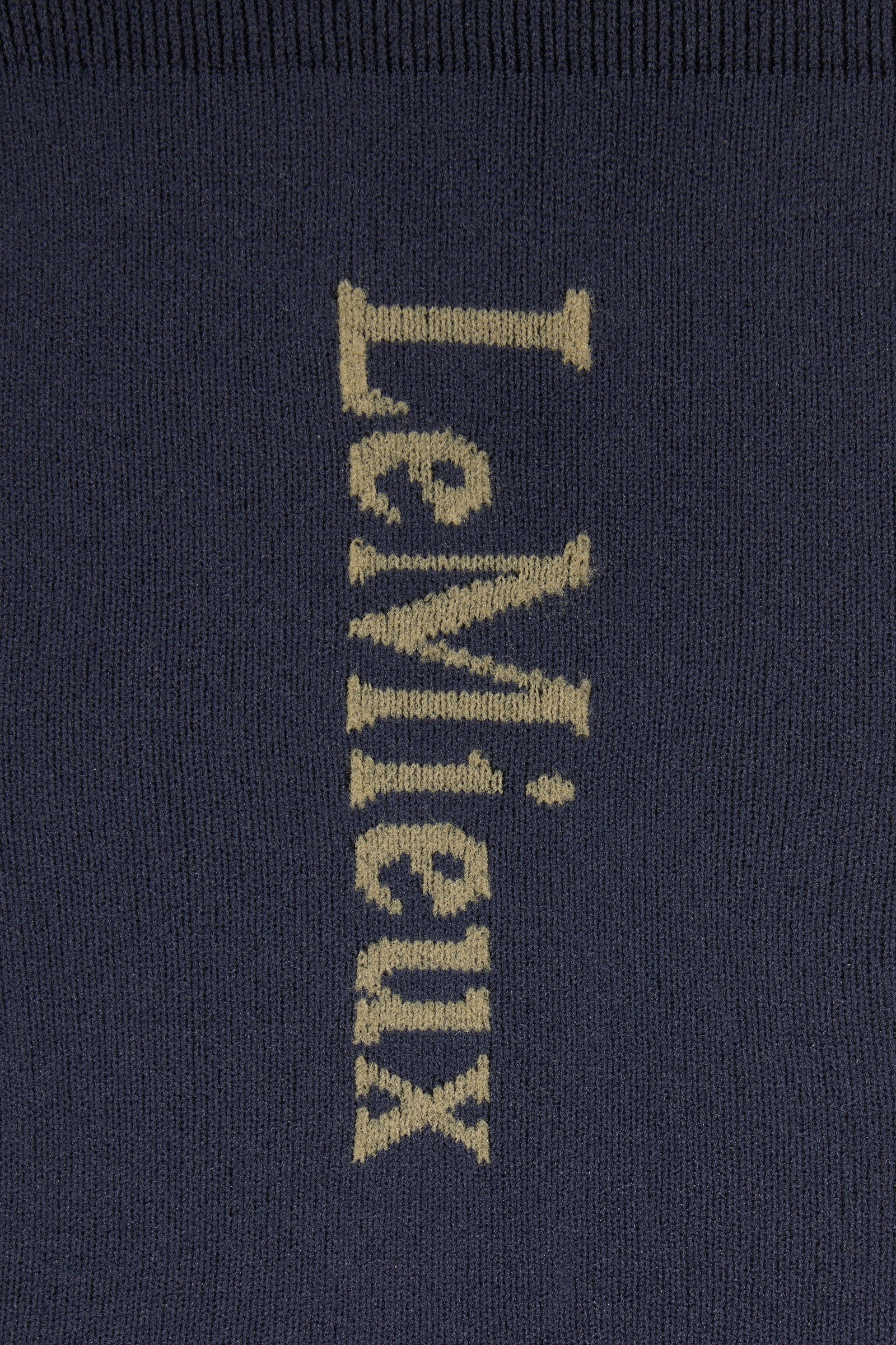 Alt Tag fallback text for IMAGE