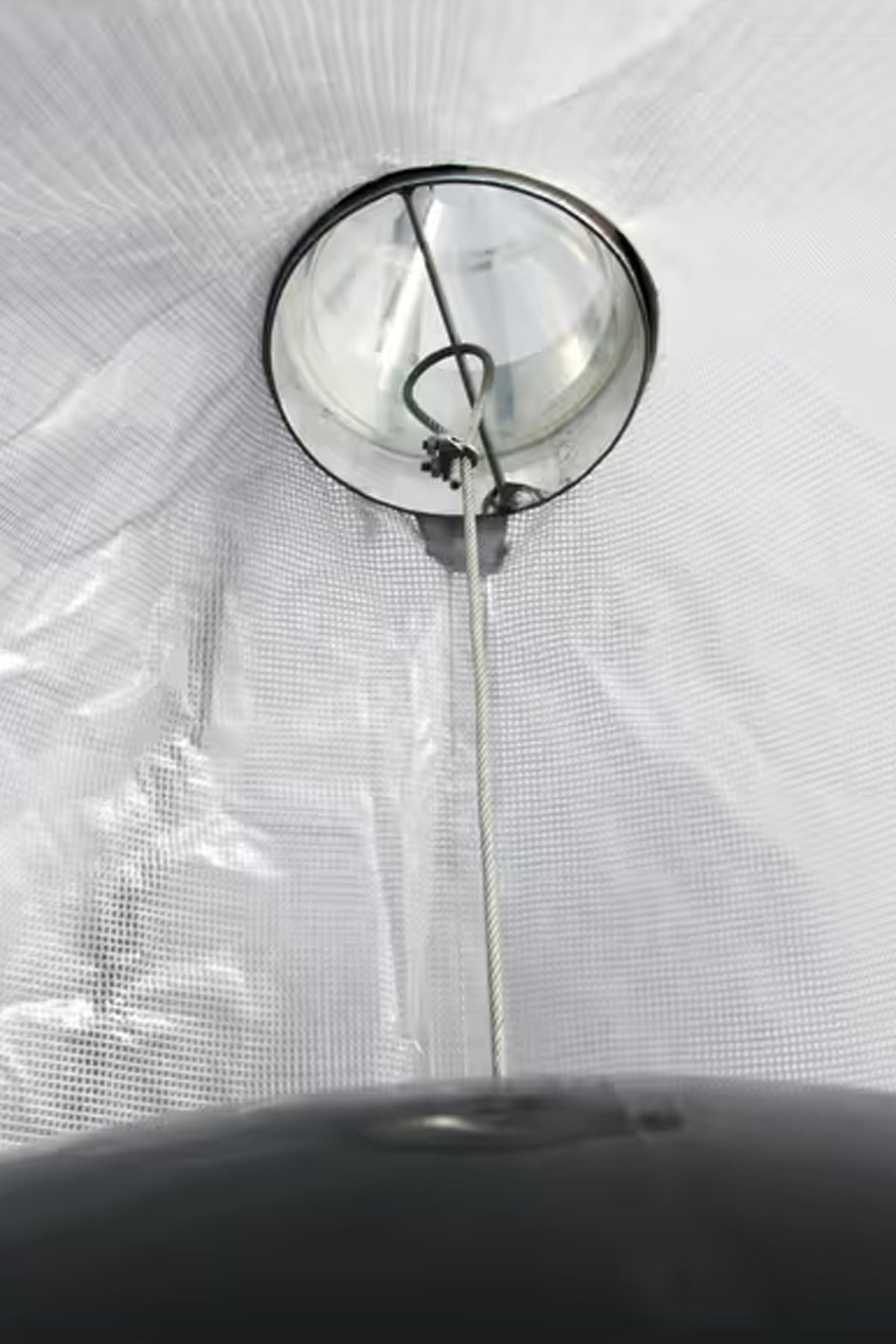 Kerbl Gadfly trap TaonX Antifly Protection for Horses