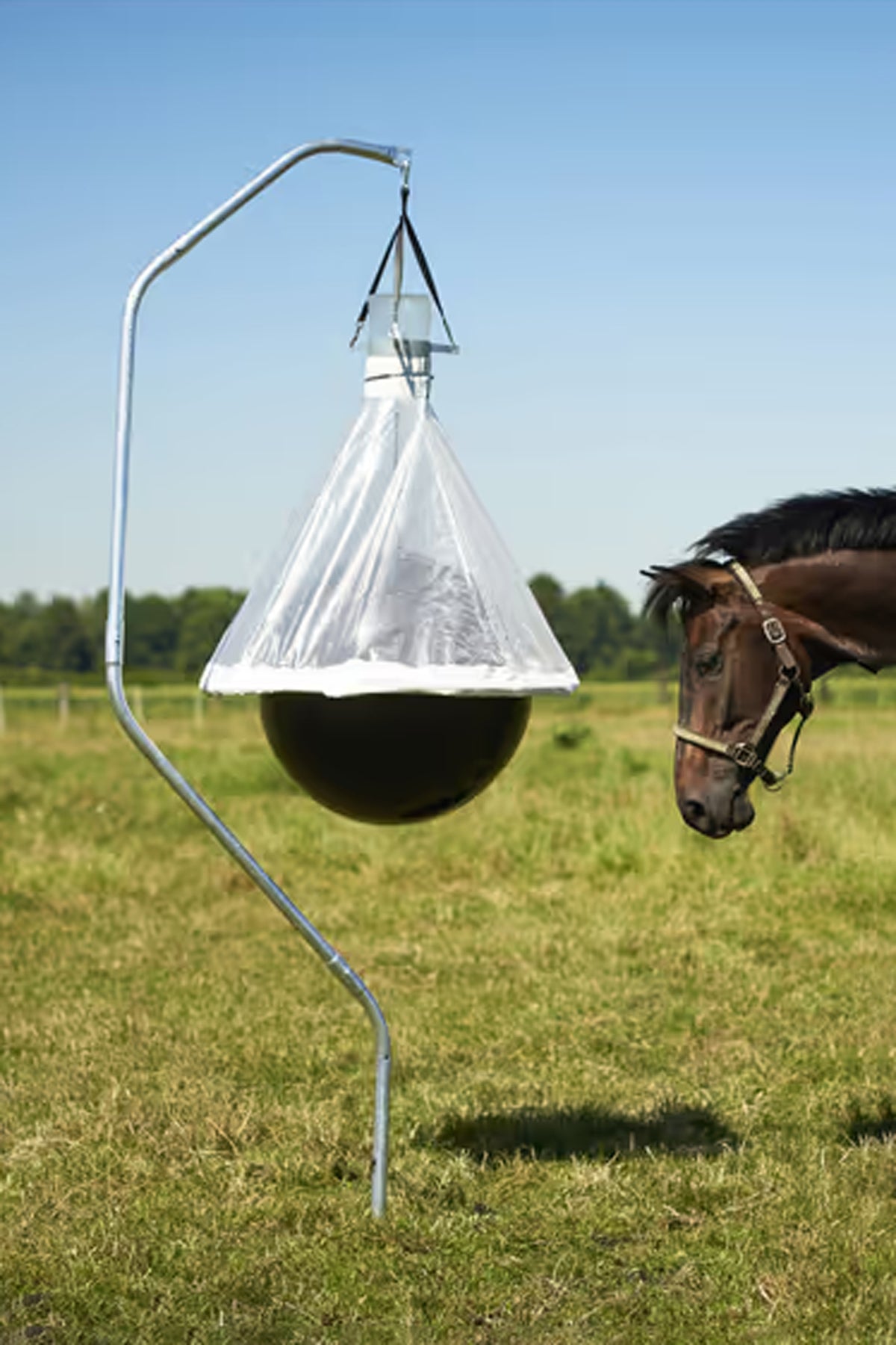 Kerbl Gadfly trap TaonX Antifly Protection for Horses