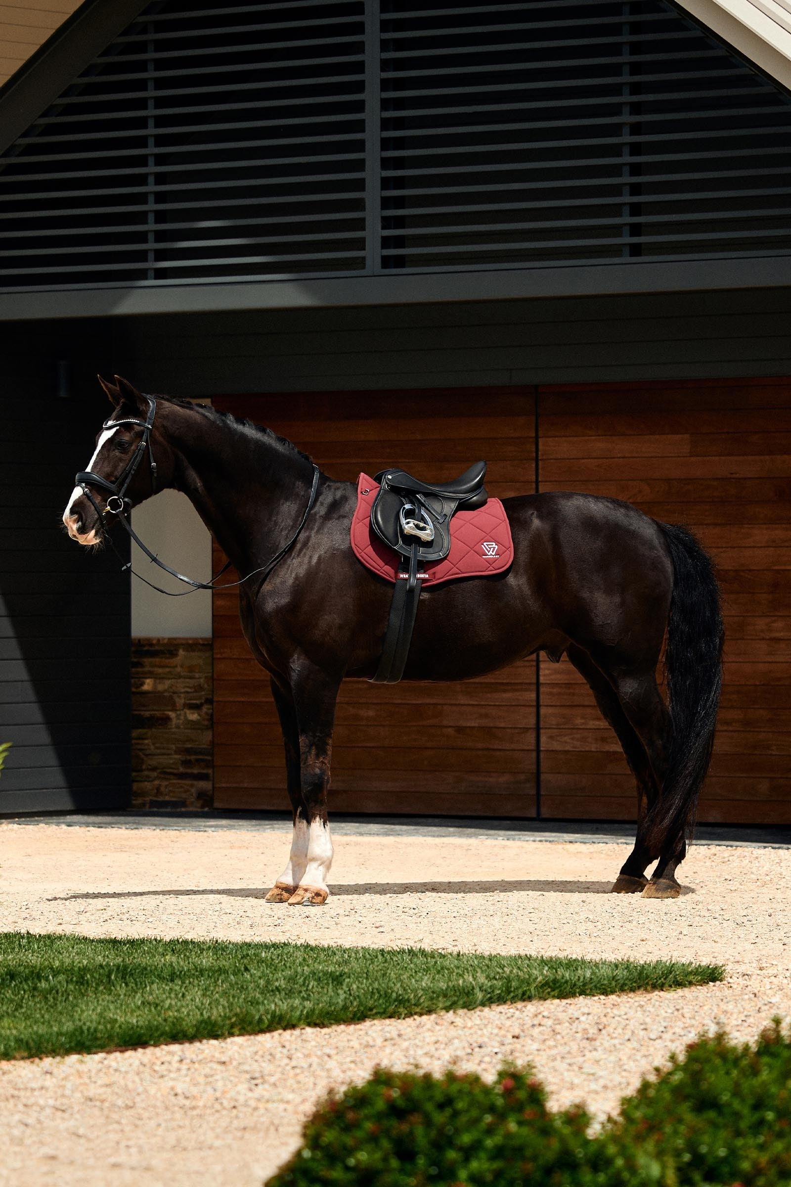 Weatherbeeta Softshell Pro 3D Air-Tec All Purpose Saddle Pad Saddle Pads