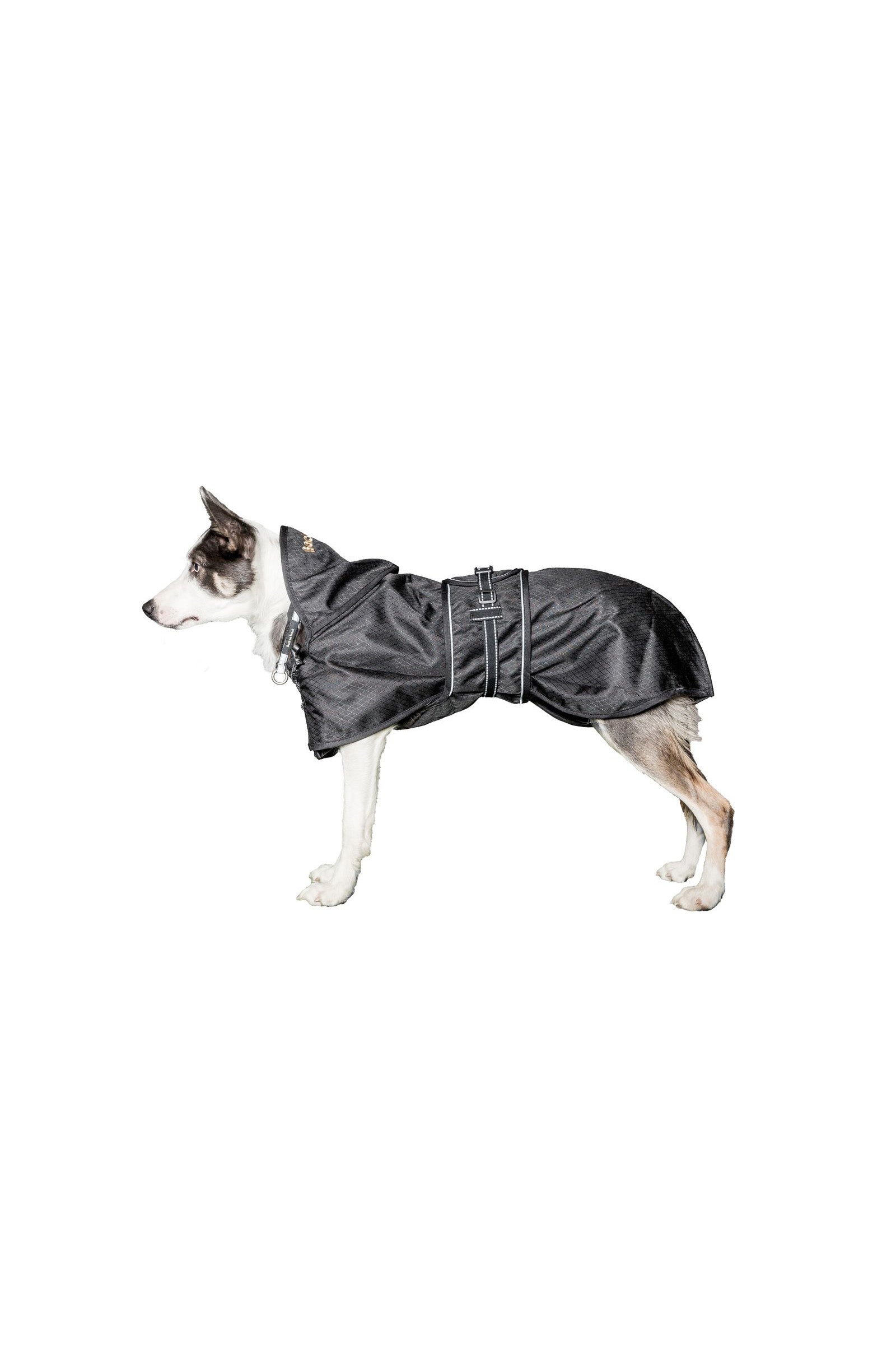 Back on Track Dog Rain Rug with no Filling, 55-74 Dog Accesories