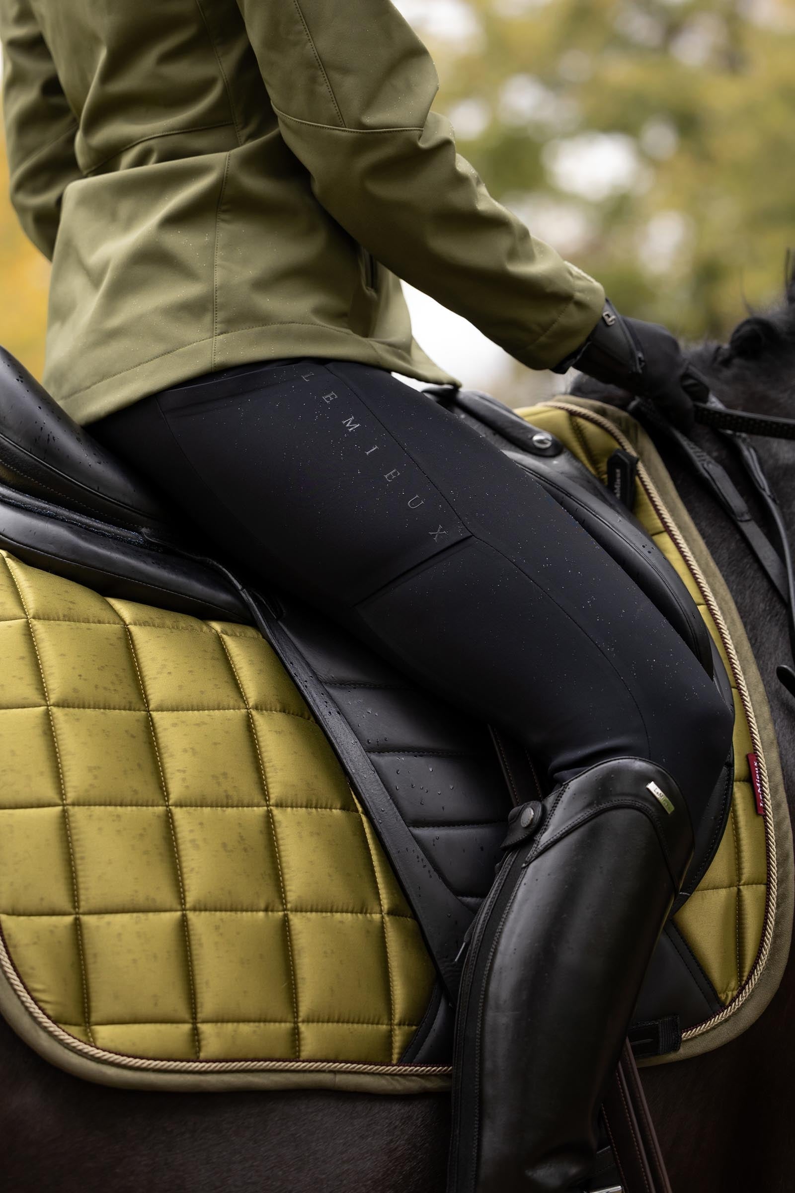LeMieux Stormwear Women´s Waterproof Breeches Womens Breeches