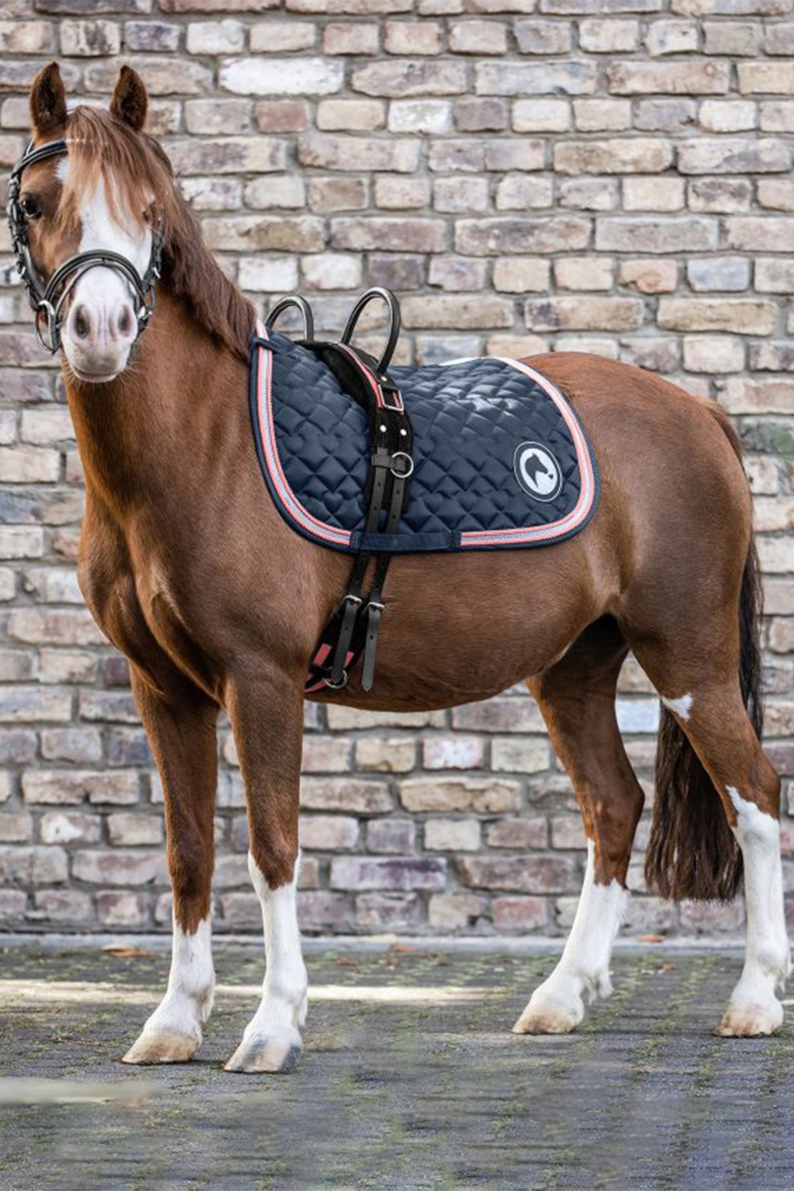 Waldhausen Surcingle with two handles Saddles, Girths & Stirrups