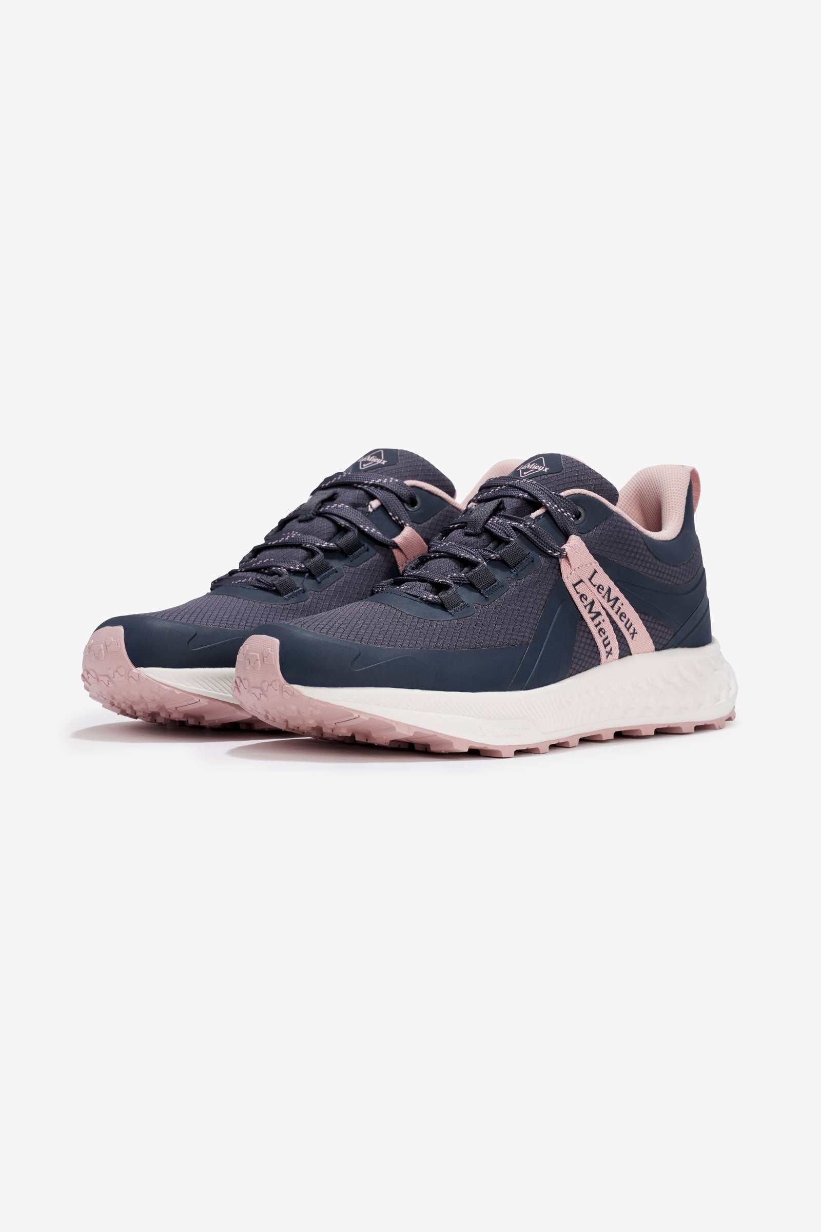 Alt Tag fallback text for IMAGE