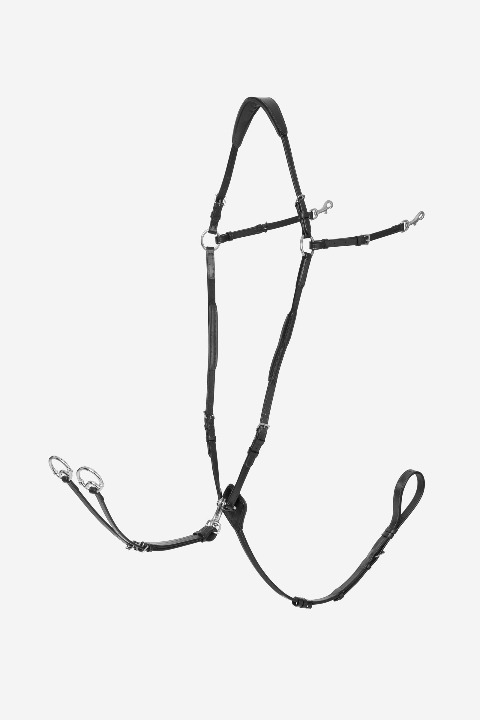 Alt Tag fallback text for IMAGE