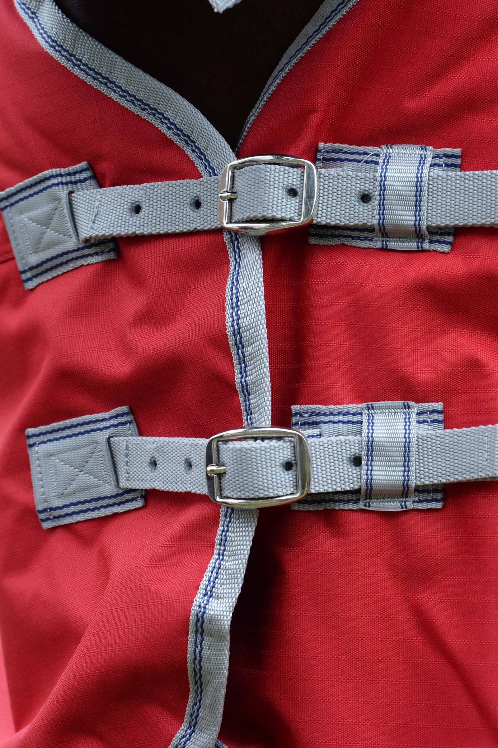 Alt Tag fallback text for IMAGE
