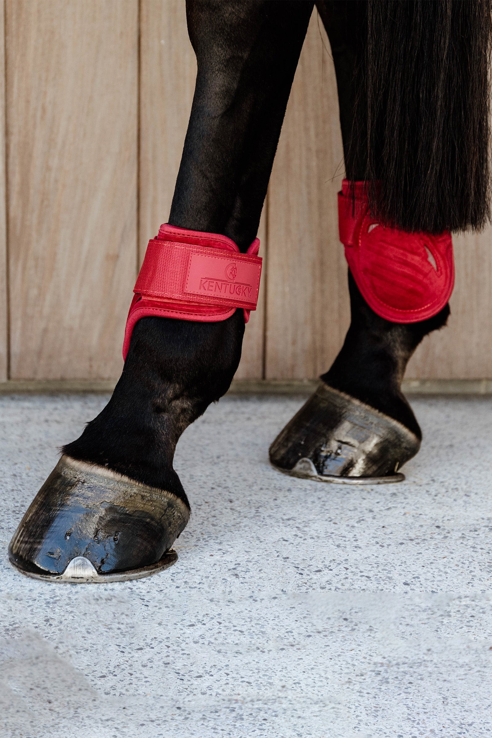 Kentucky Horsewear Velvet Young Horse Fetlock Boots Leg & Hoof Protection