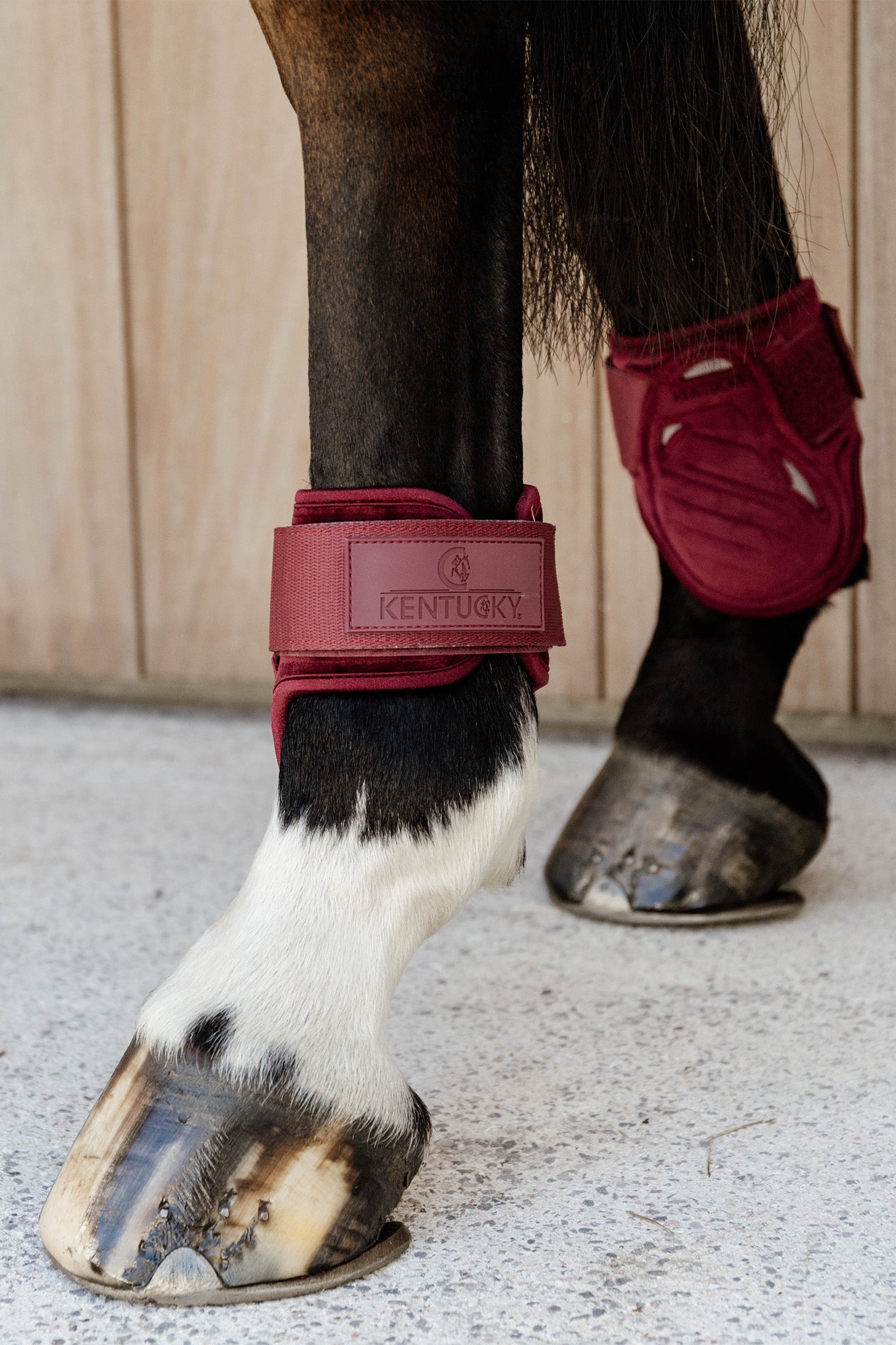 Kentucky Horsewear Velvet Young Horse Fetlock Boots Leg & Hoof Protection