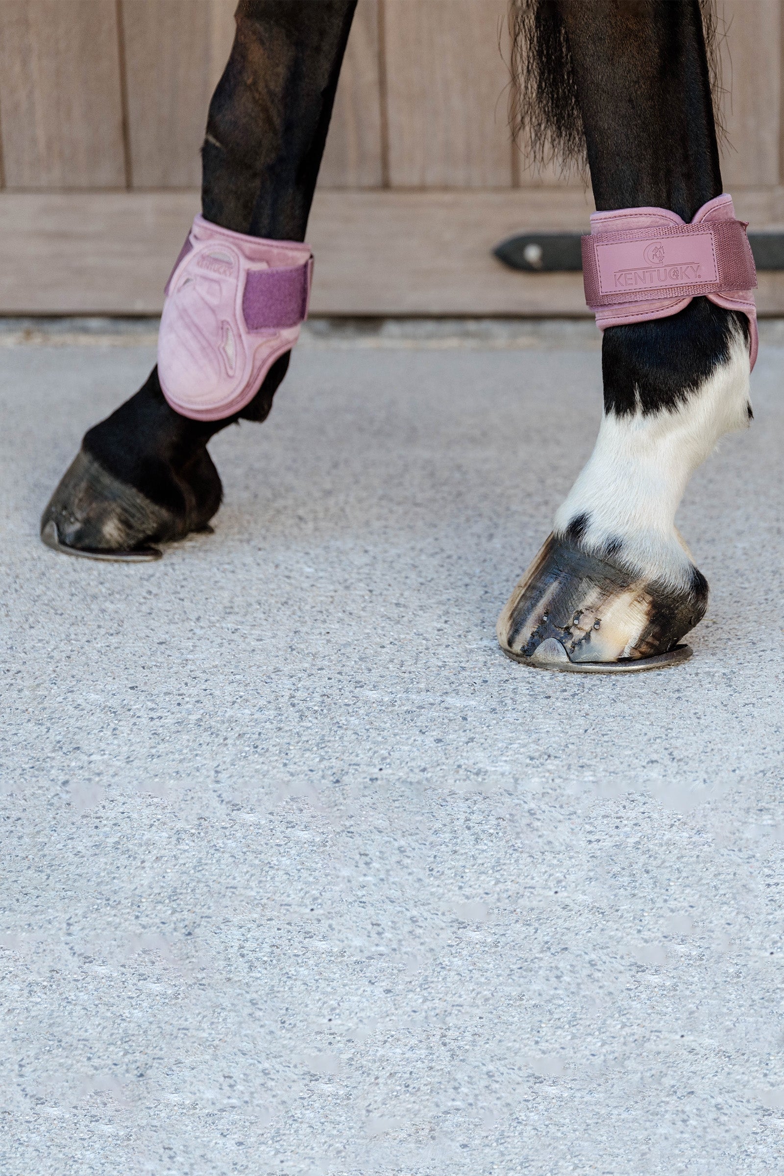 Kentucky Horsewear Velvet Young Horse Fetlock Boots Leg & Hoof Protection