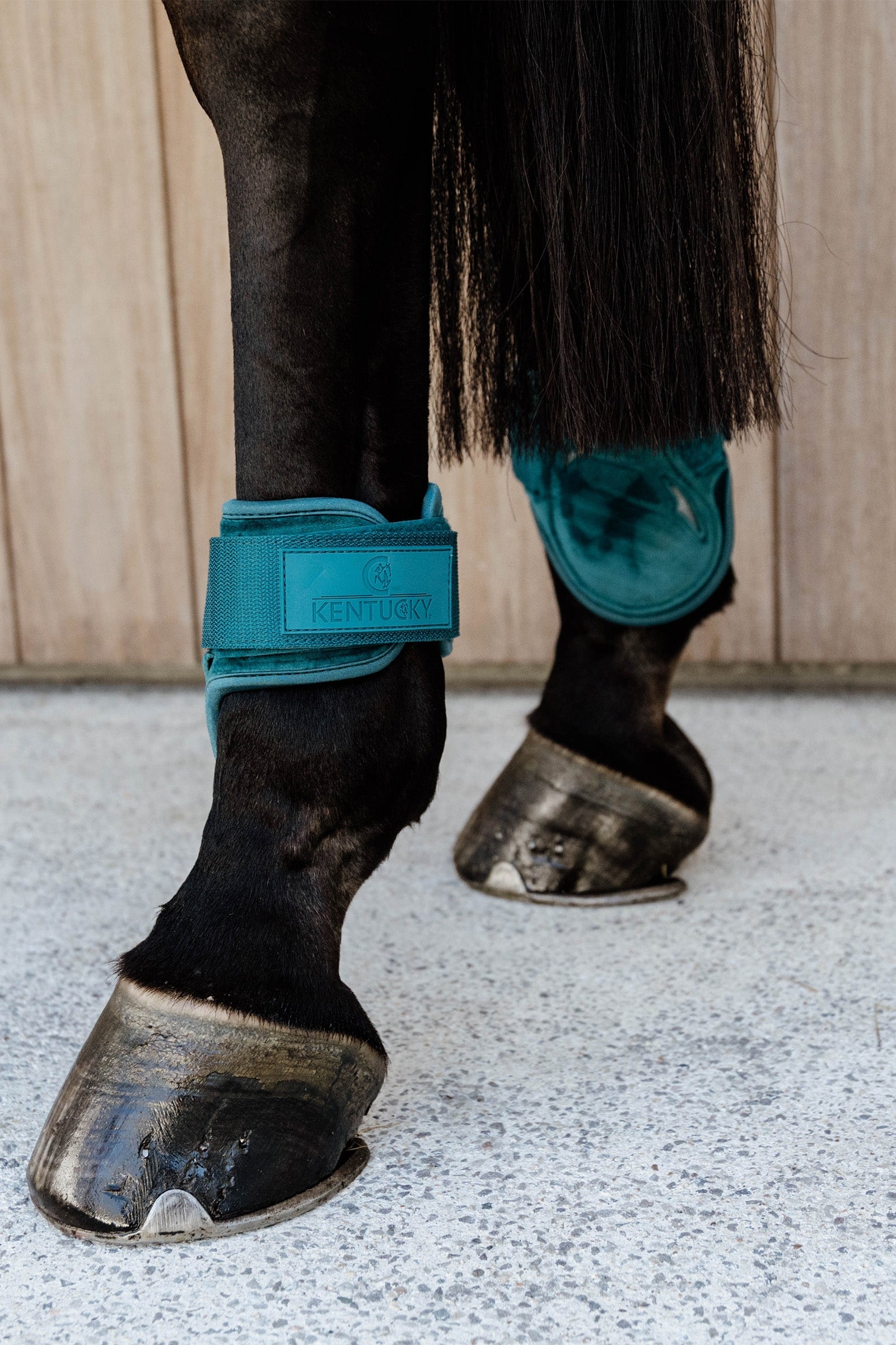 Kentucky Horsewear Velvet Young Horse Fetlock Boots Leg & Hoof Protection
