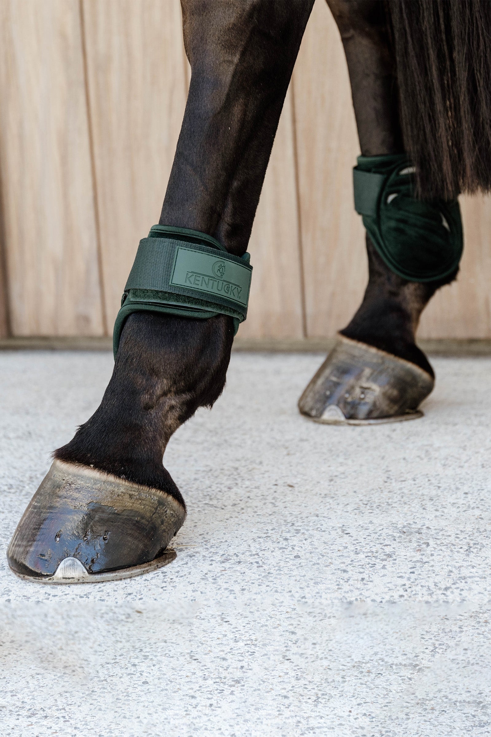 Kentucky Horsewear Velvet Young Horse Fetlock Boots Leg & Hoof Protection