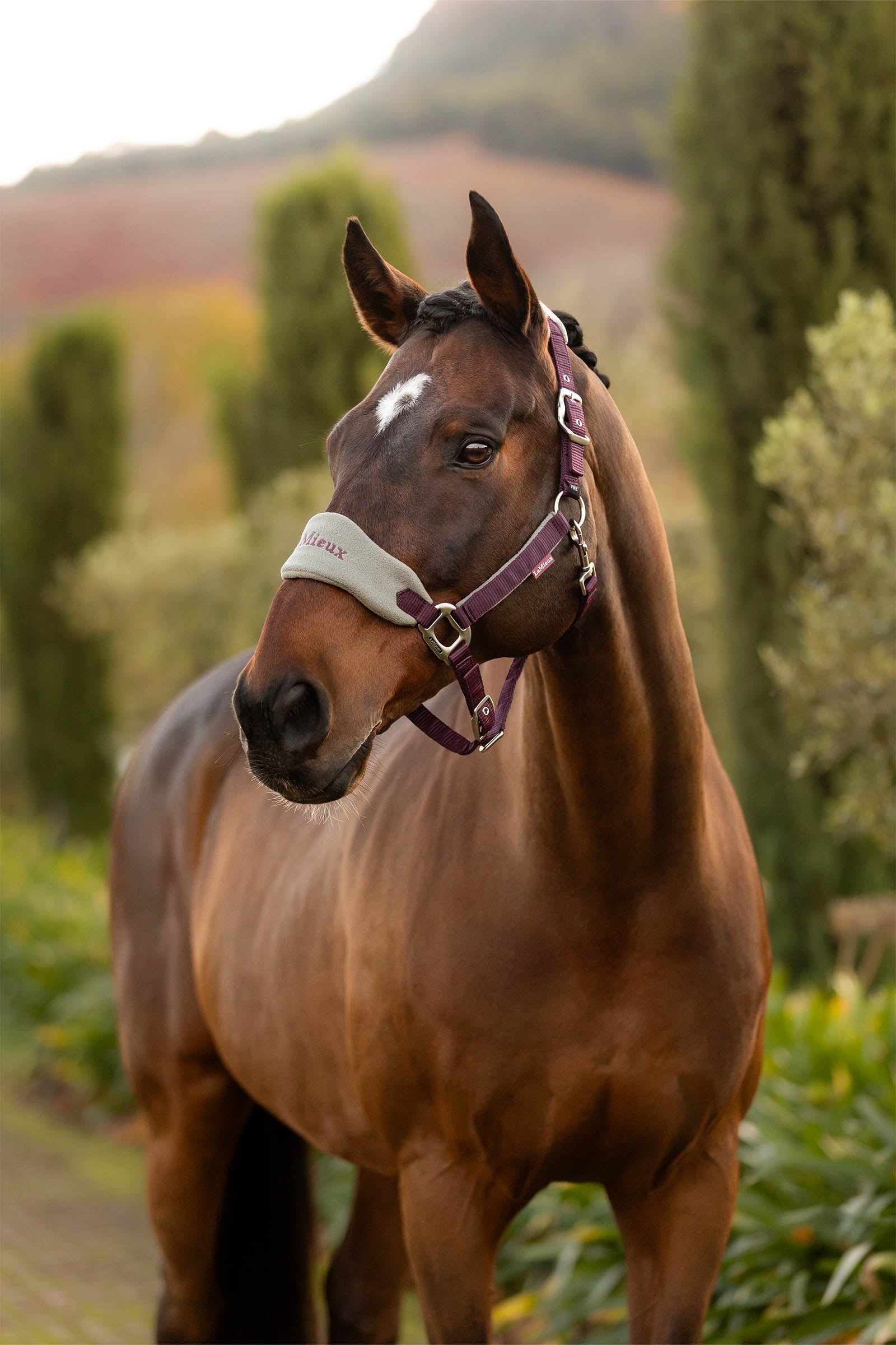 LeMieux Vogue Headcollar & Lead Rope Set Halters & Leads