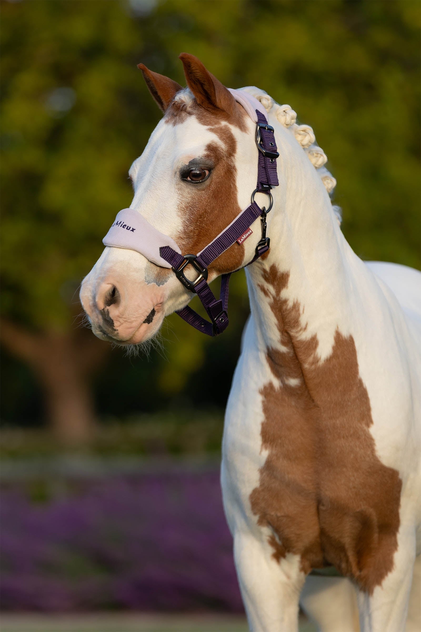 LeMieux Vogue Headcollar & Lead Rope Set Halters & Leads
