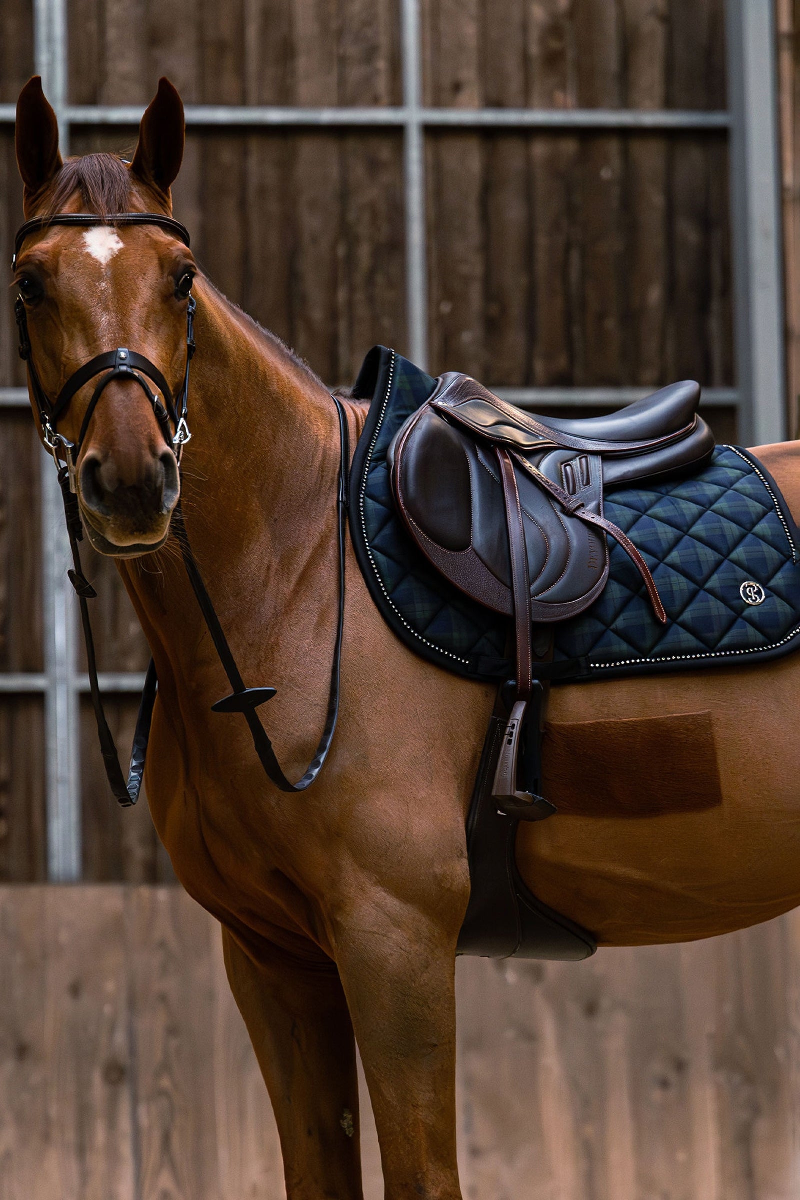 PS of Sweden Checked Jumping Saddle Pad Saddle Pads