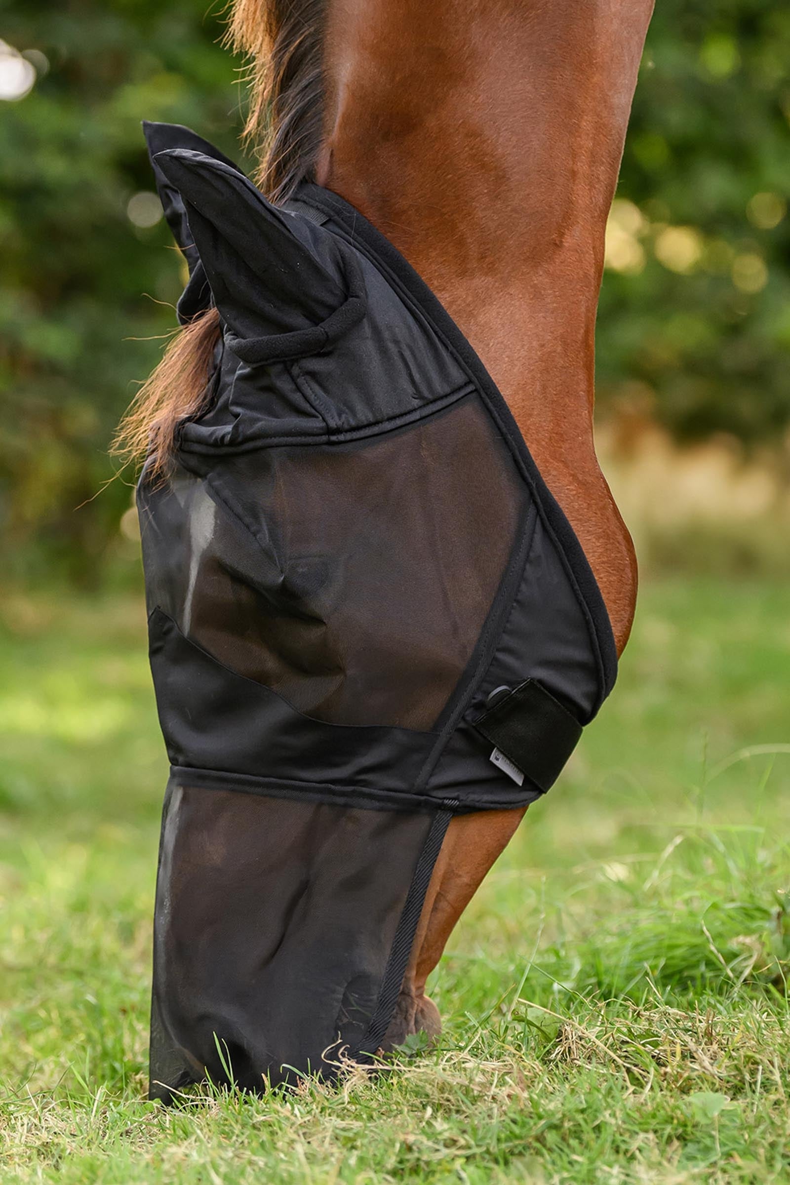 Waldhausen Fly Bonnet With Ears and Nose Extension, UV-Protection Antifly Protection for Horses