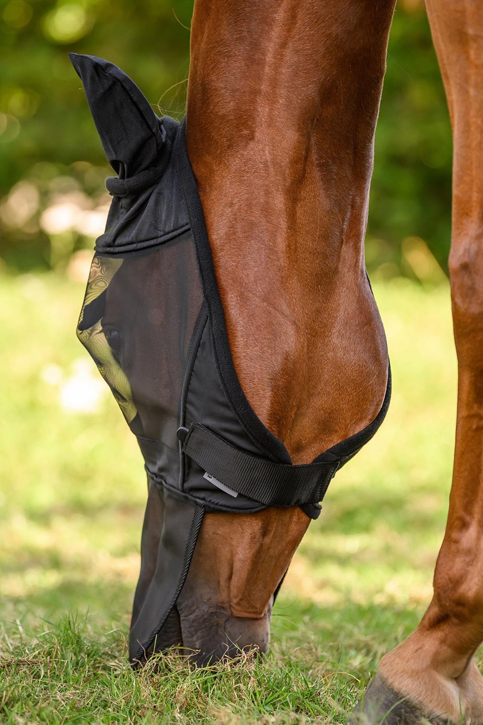 Waldhausen Fly Bonnet With Ears and Nose Extension, UV-Protection Antifly Protection for Horses