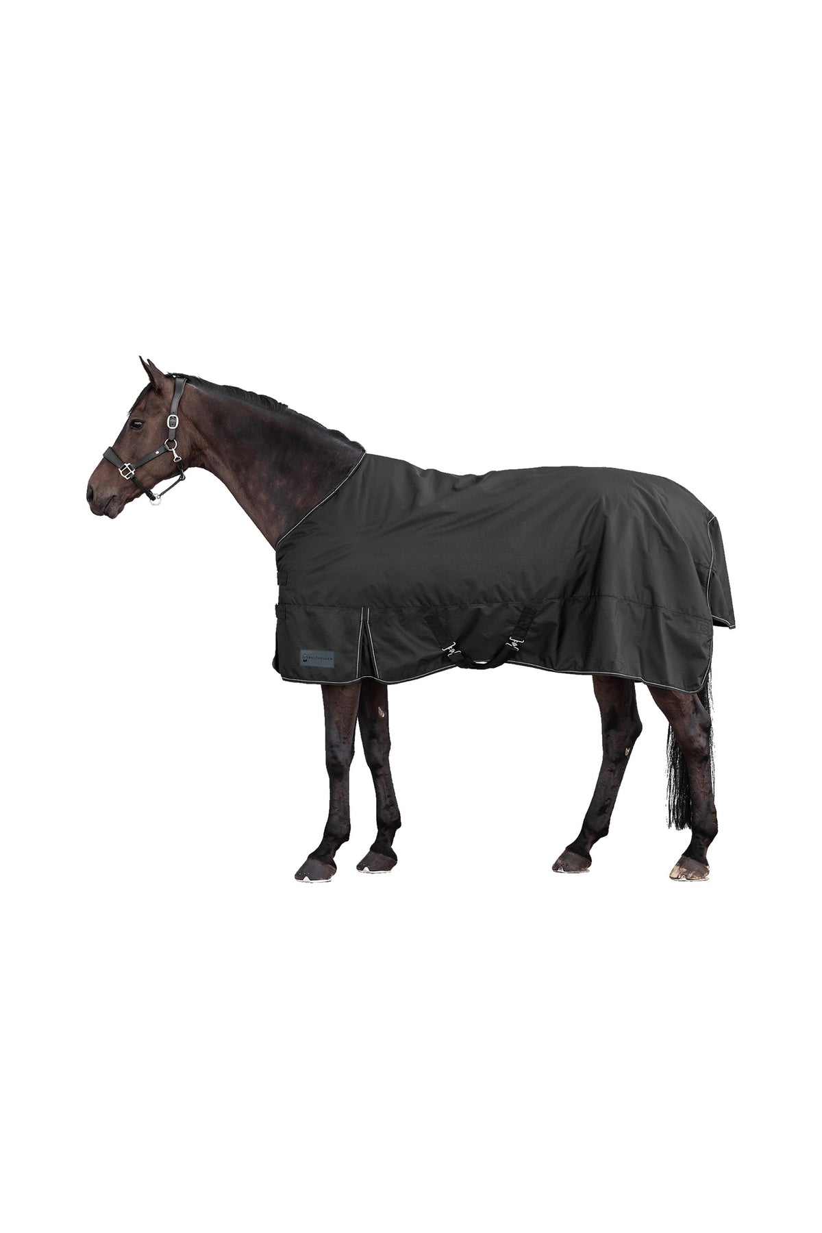 Waldhausen NORDIC 600D Outdoor Rug, 50 g Horse Rugs