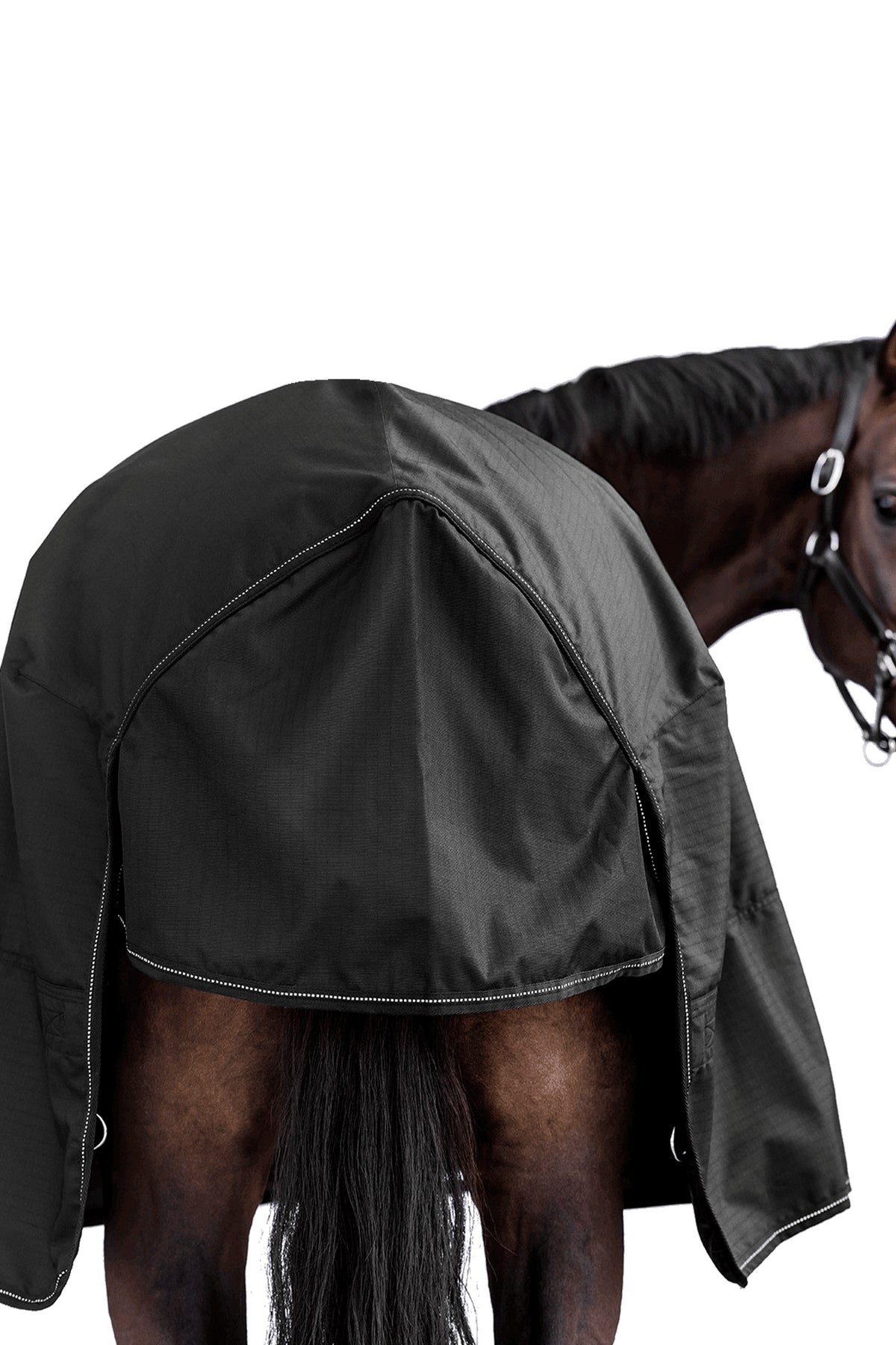 Waldhausen NORDIC 600D Outdoor Rug, 50 g Horse Rugs