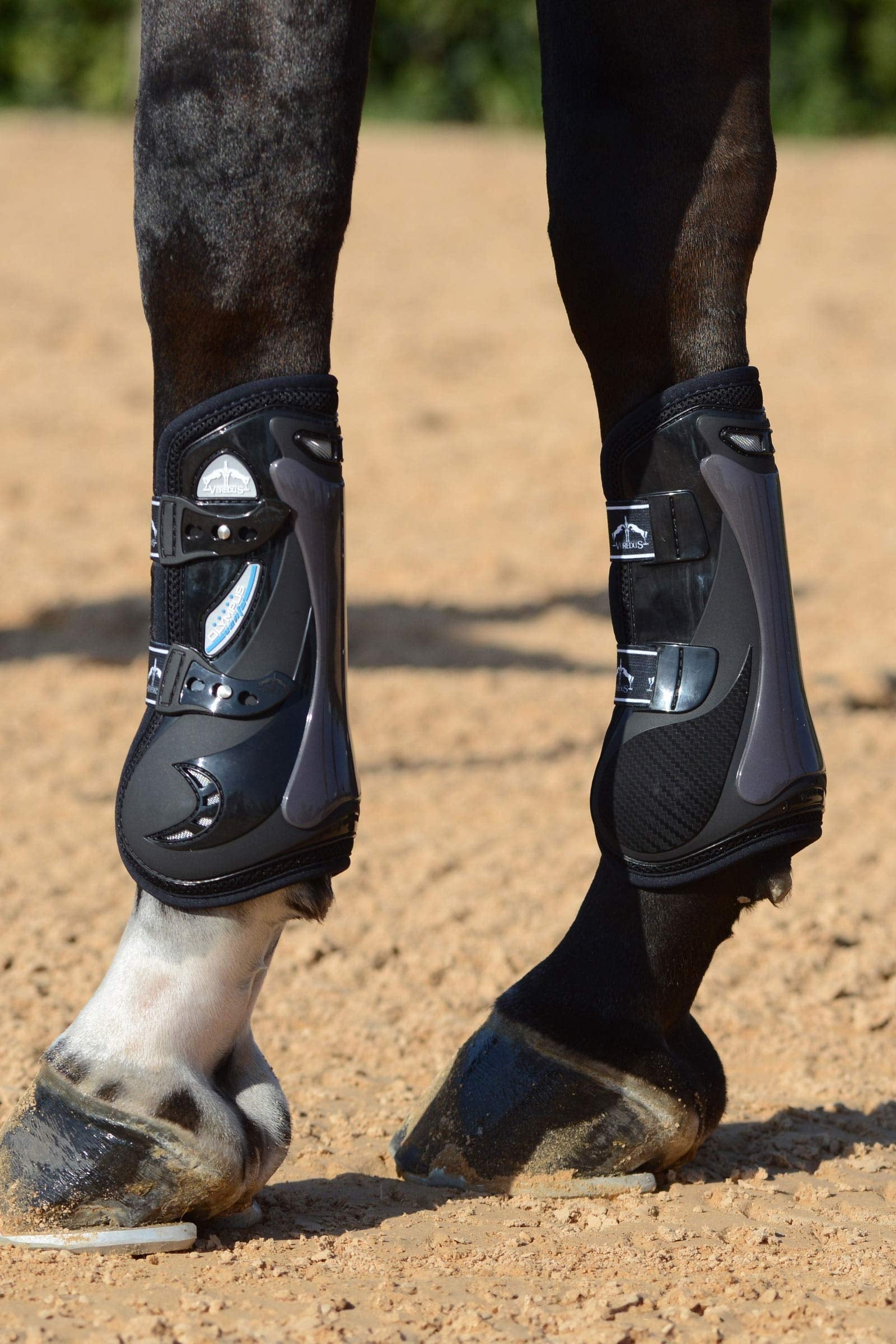 Veredus Olympus Vento Tendon Boots Leg & Hoof Protection