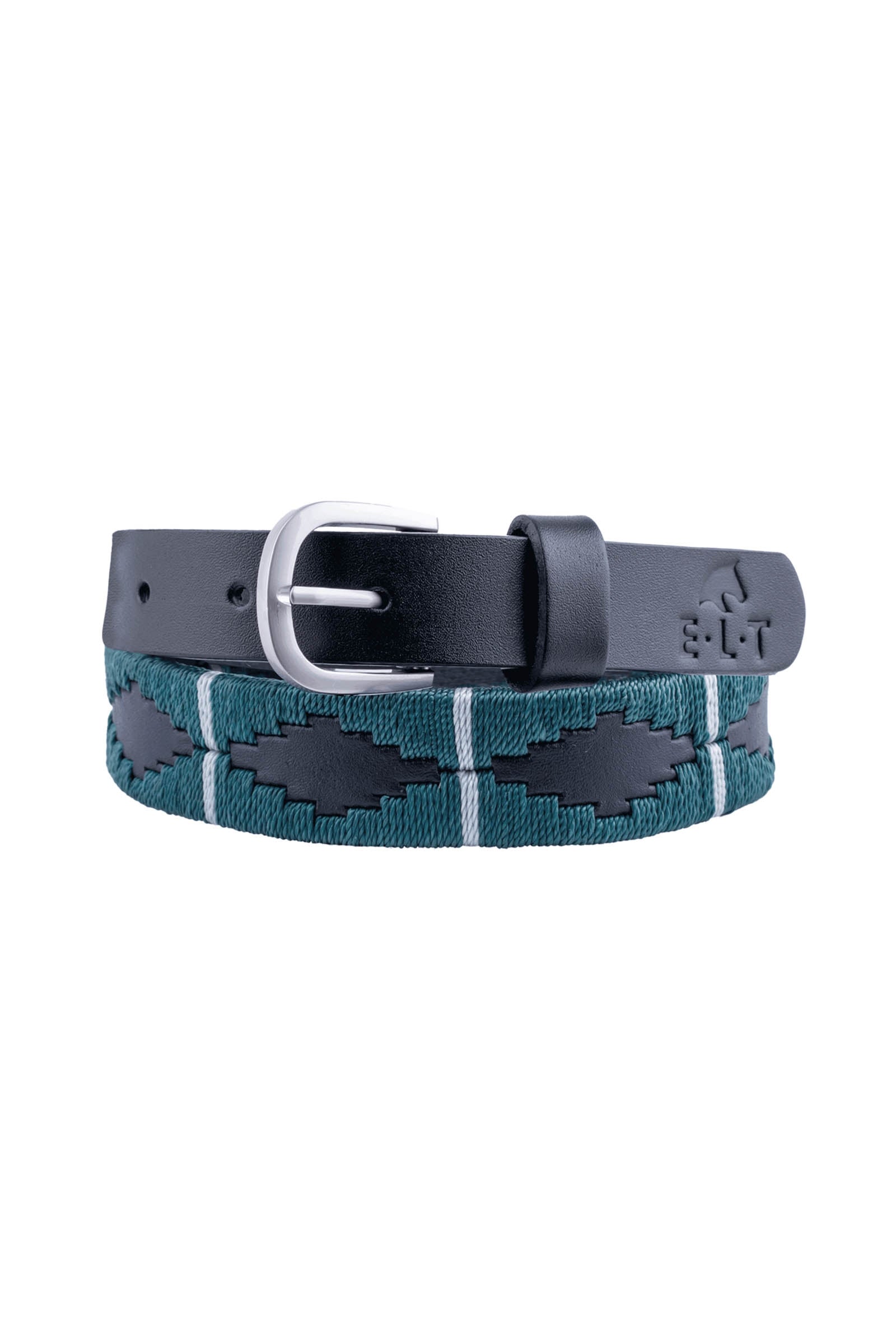 Alt Tag fallback text for IMAGE