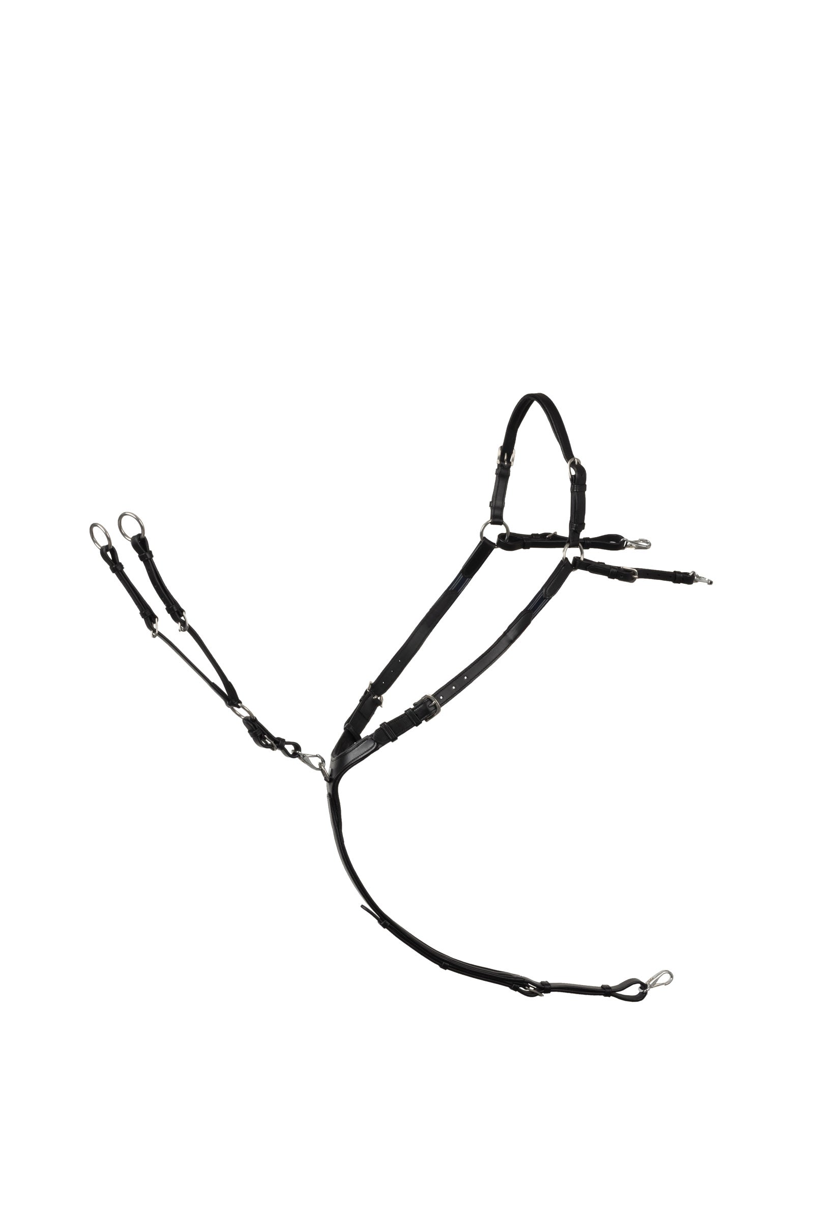 Alt Tag fallback text for IMAGE