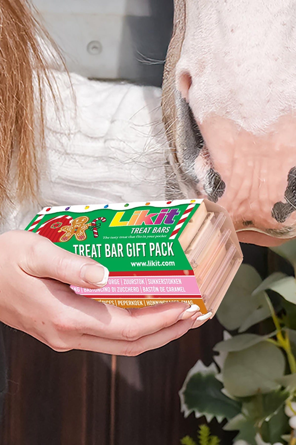 Likit Christmas Treatbar (4 x 90 g) Horse Feed & Nutrition