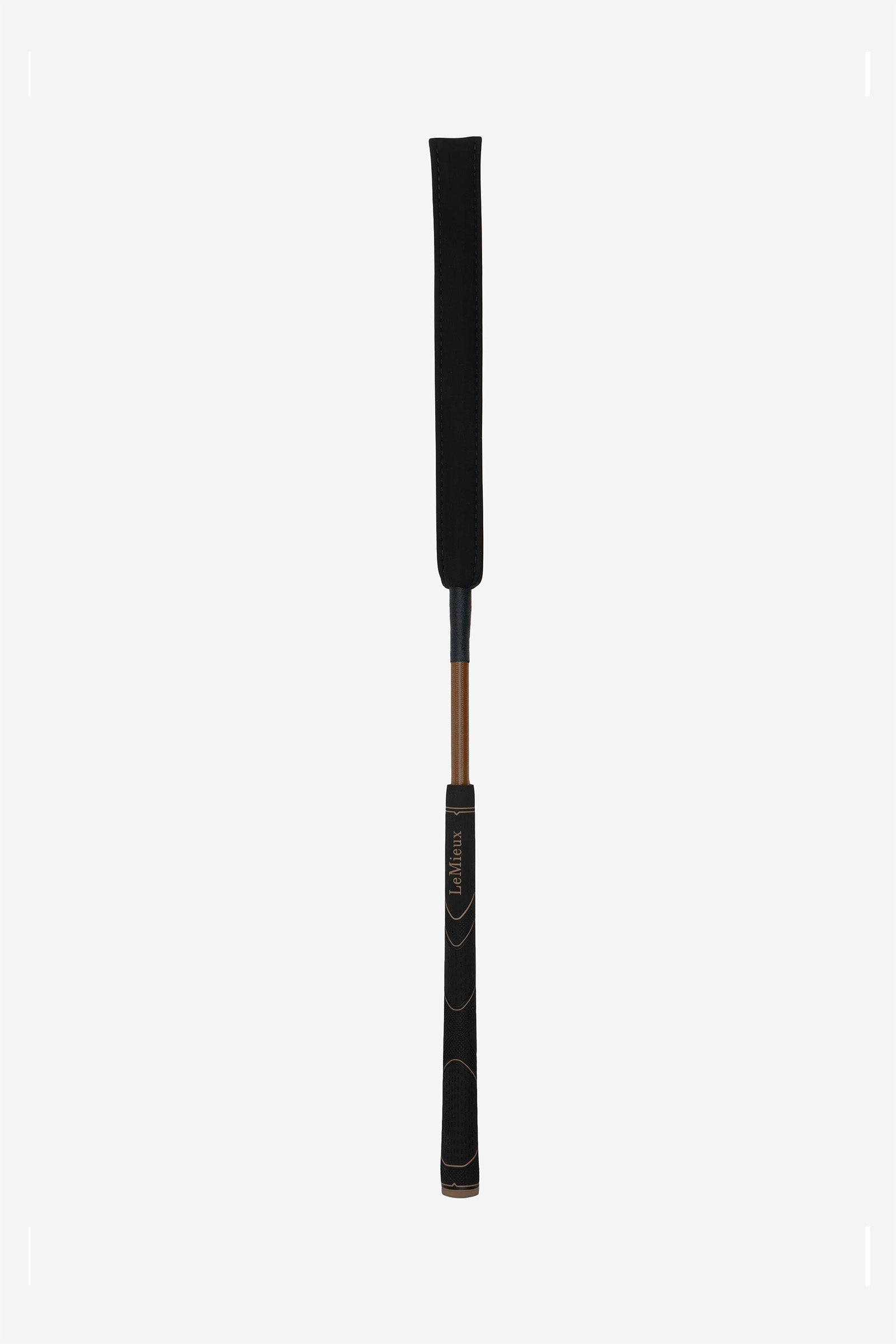 Alt Tag fallback text for IMAGE