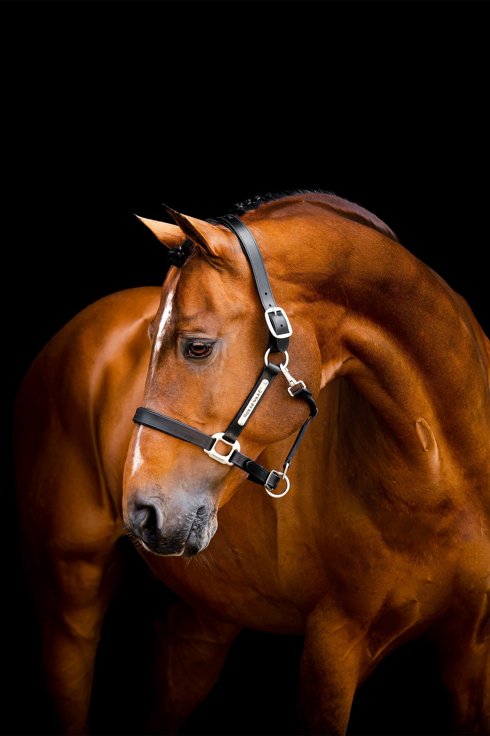 Horseware Signature Leather Headcollar Halters & Leads