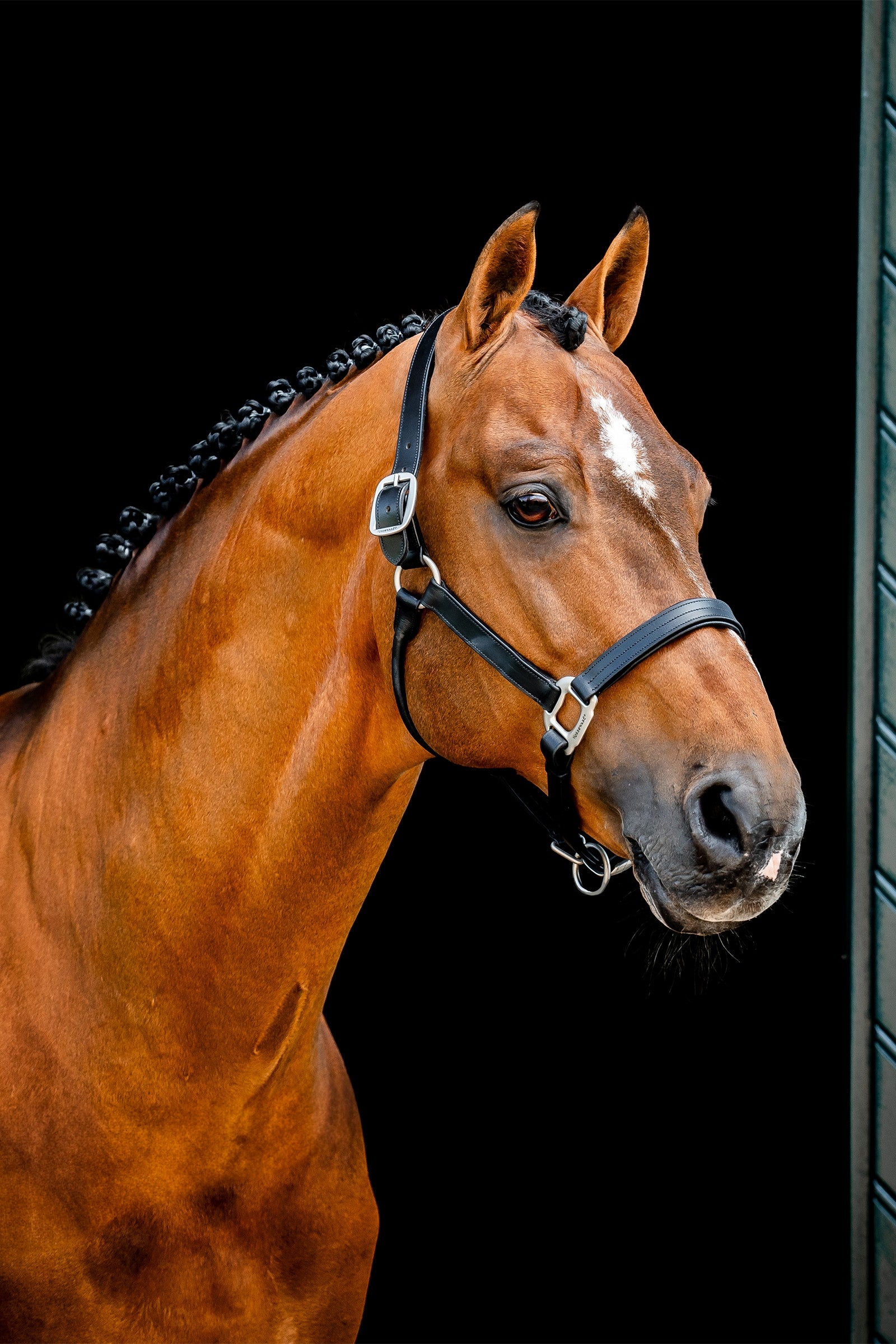 Horseware Signature Leather Headcollar Halters & Leads