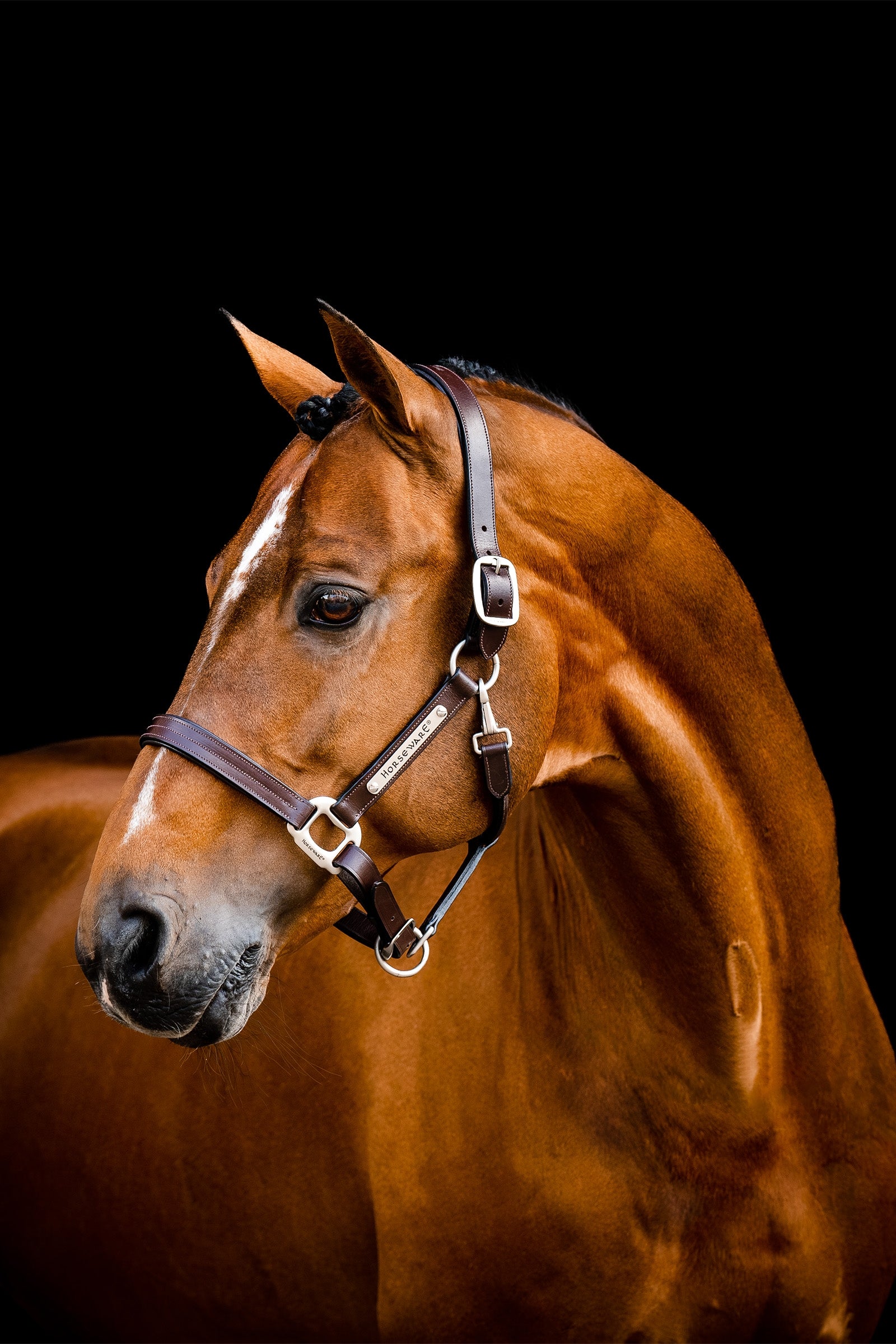 Horseware Signature Leather Headcollar Halters & Leads