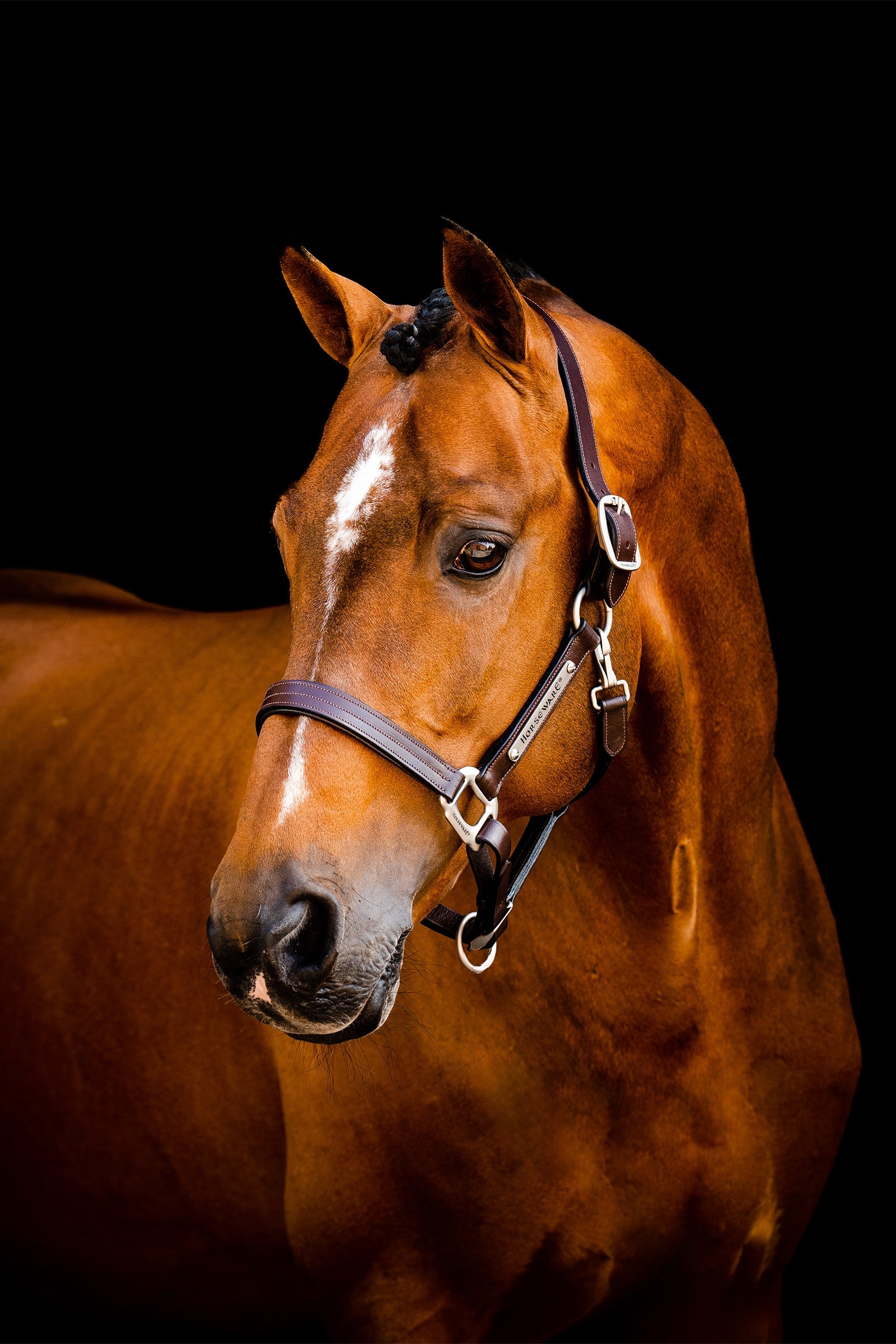 Horseware Signature Leather Headcollar Halters & Leads