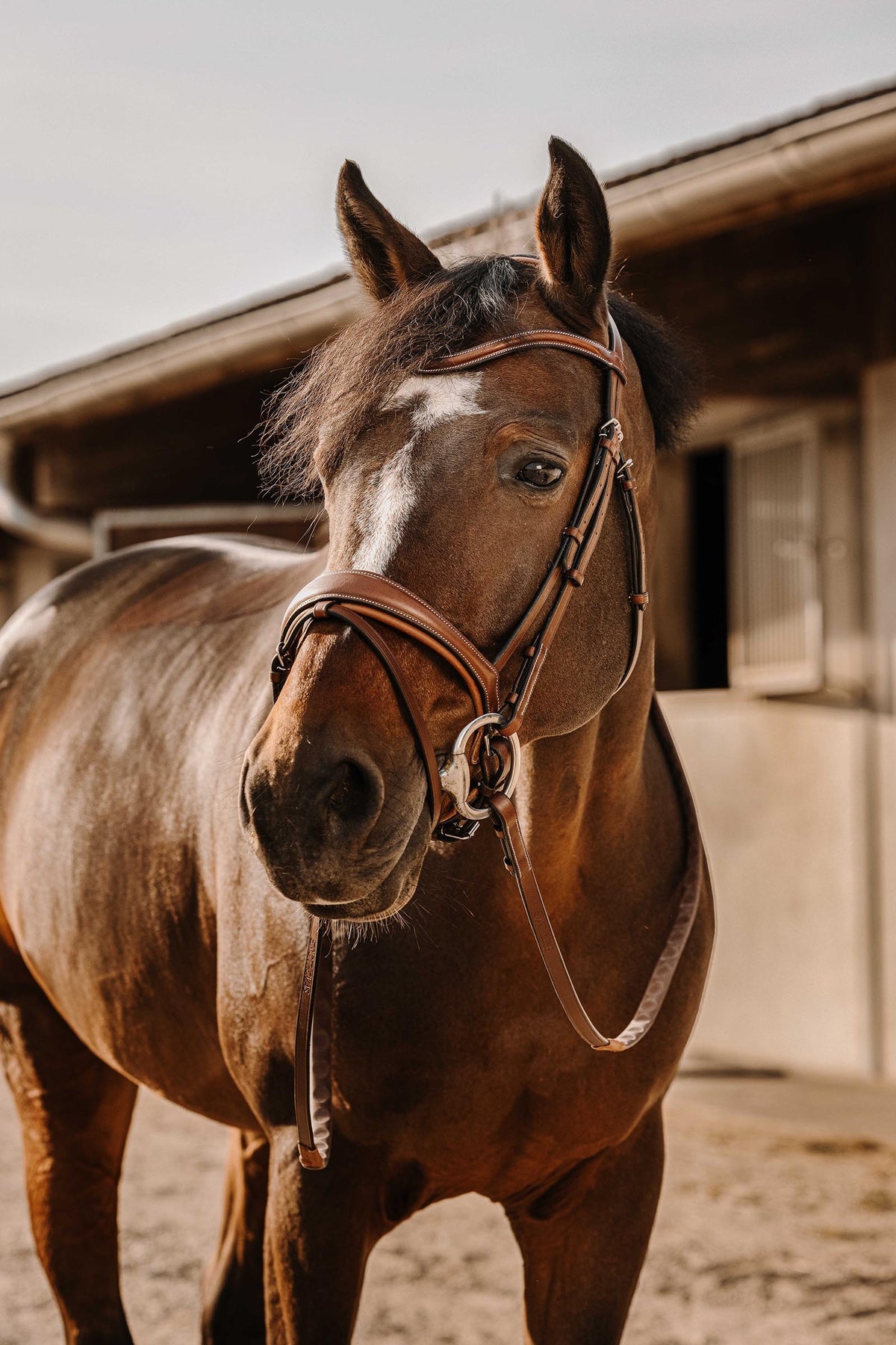 ERIC THOMAS Digit Rubber Reins, 16 mm Bridles & Reins