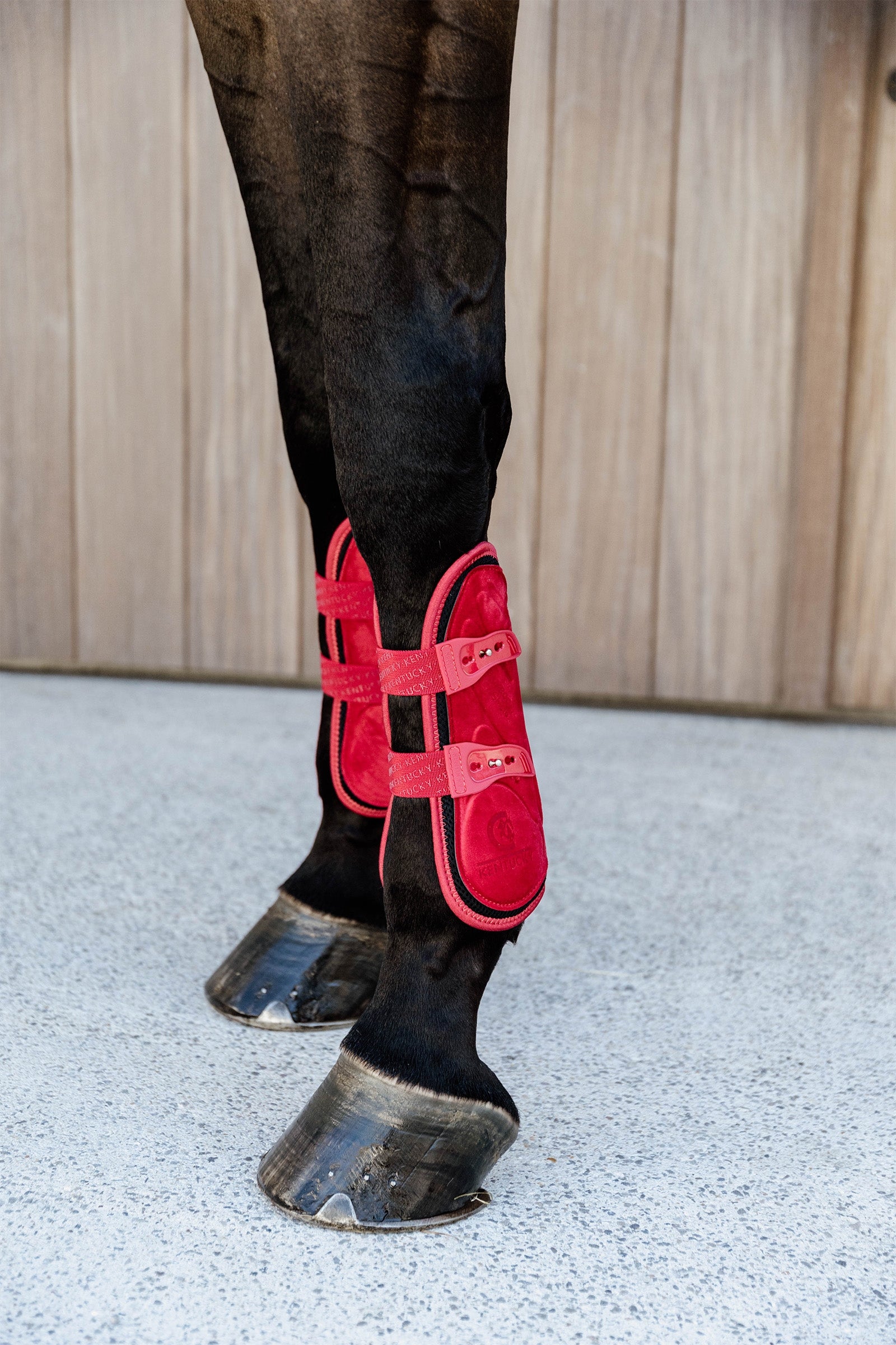 Kentucky Horsewear Bamboo Elastic Velvet Tendon Boots Leg & Hoof Protection