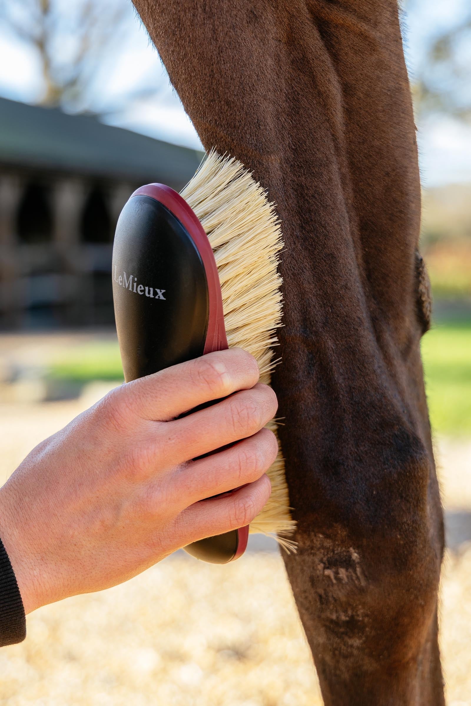 LeMieux Lemieux  Dandy Brush Horse Grooming Tools