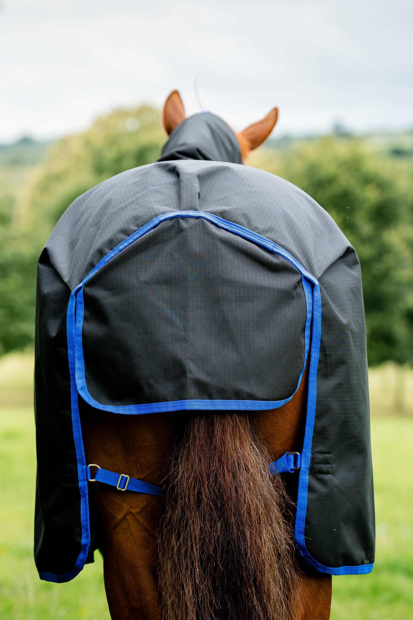 Horseware Amigo Ripstop 900D Plus Turnout Rug, 0 g Horse Rugs