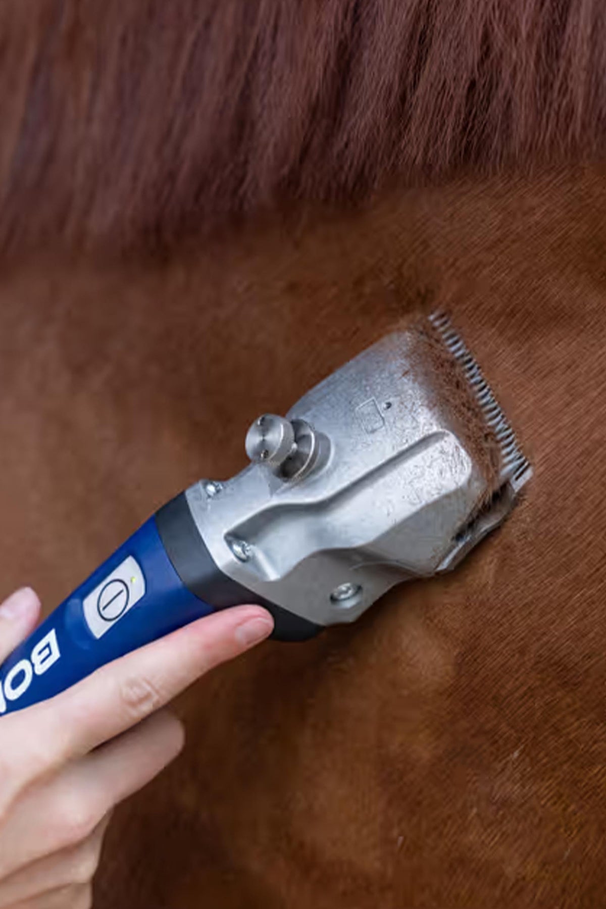 Aesculap Bonum Pro Horse Clipper With 1 Battery Horse Clipping & Trimming Tools