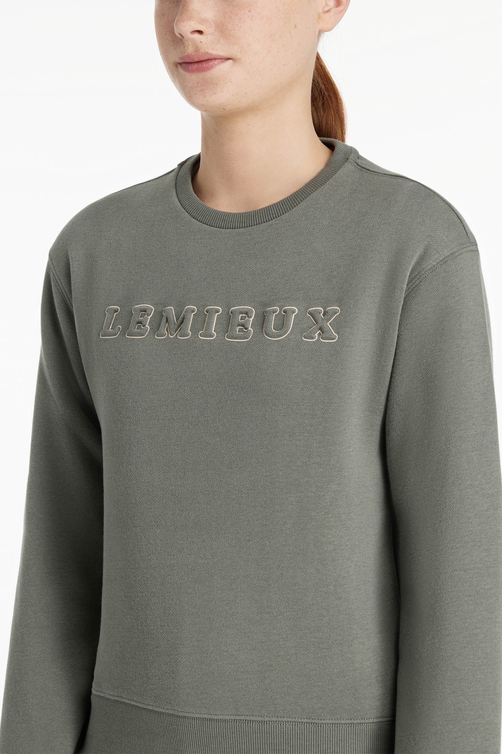 Alt Tag fallback text for IMAGE
