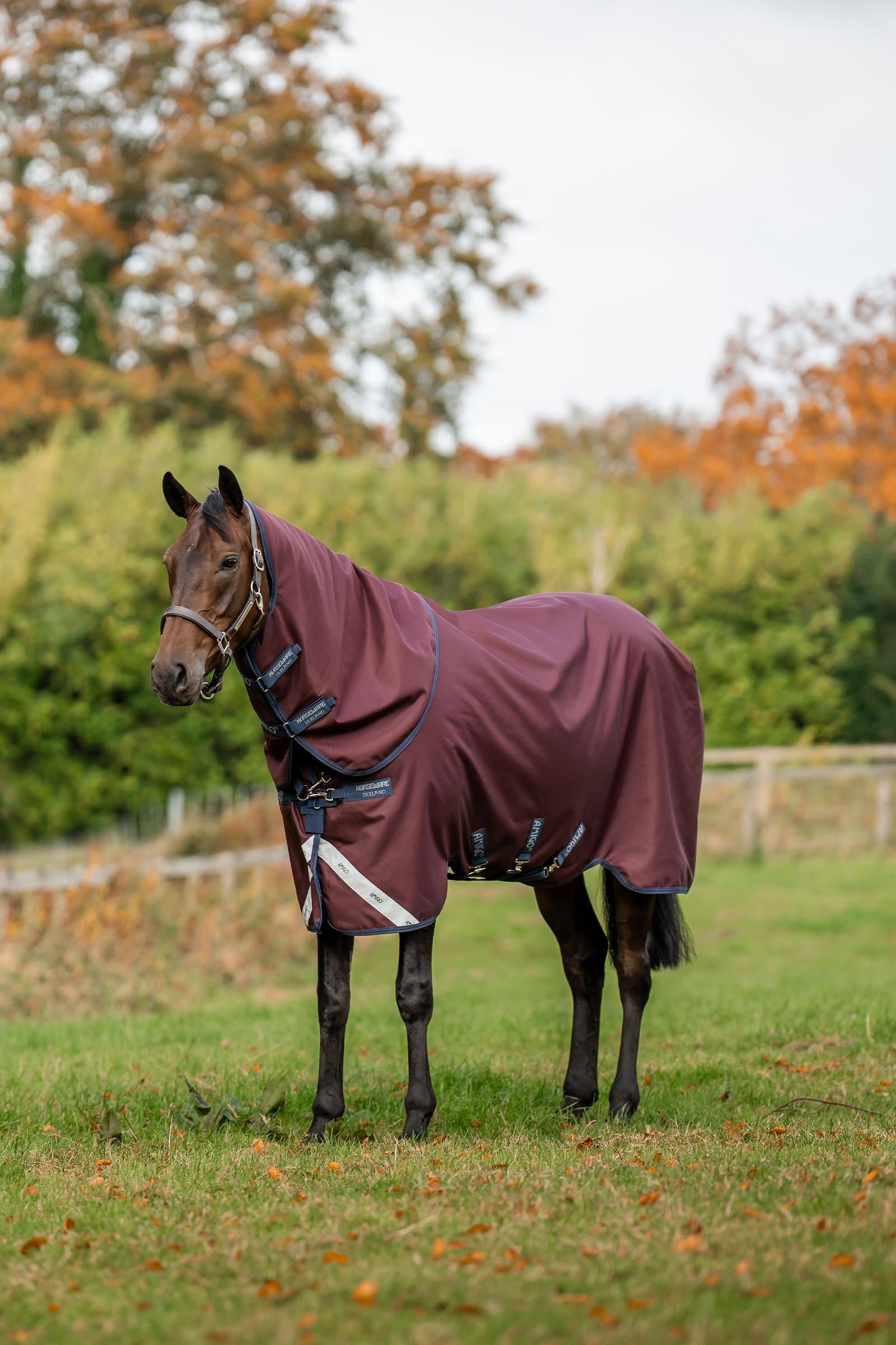 Horseware Amigo Bravo 12 Plus 100g Horse Rugs